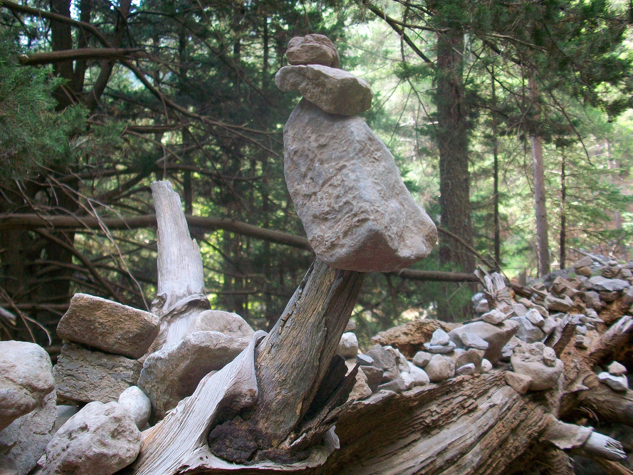 Kodak EASYSHARE M1063 DIGITAL CAMERA sample photo. Trees & stones photography