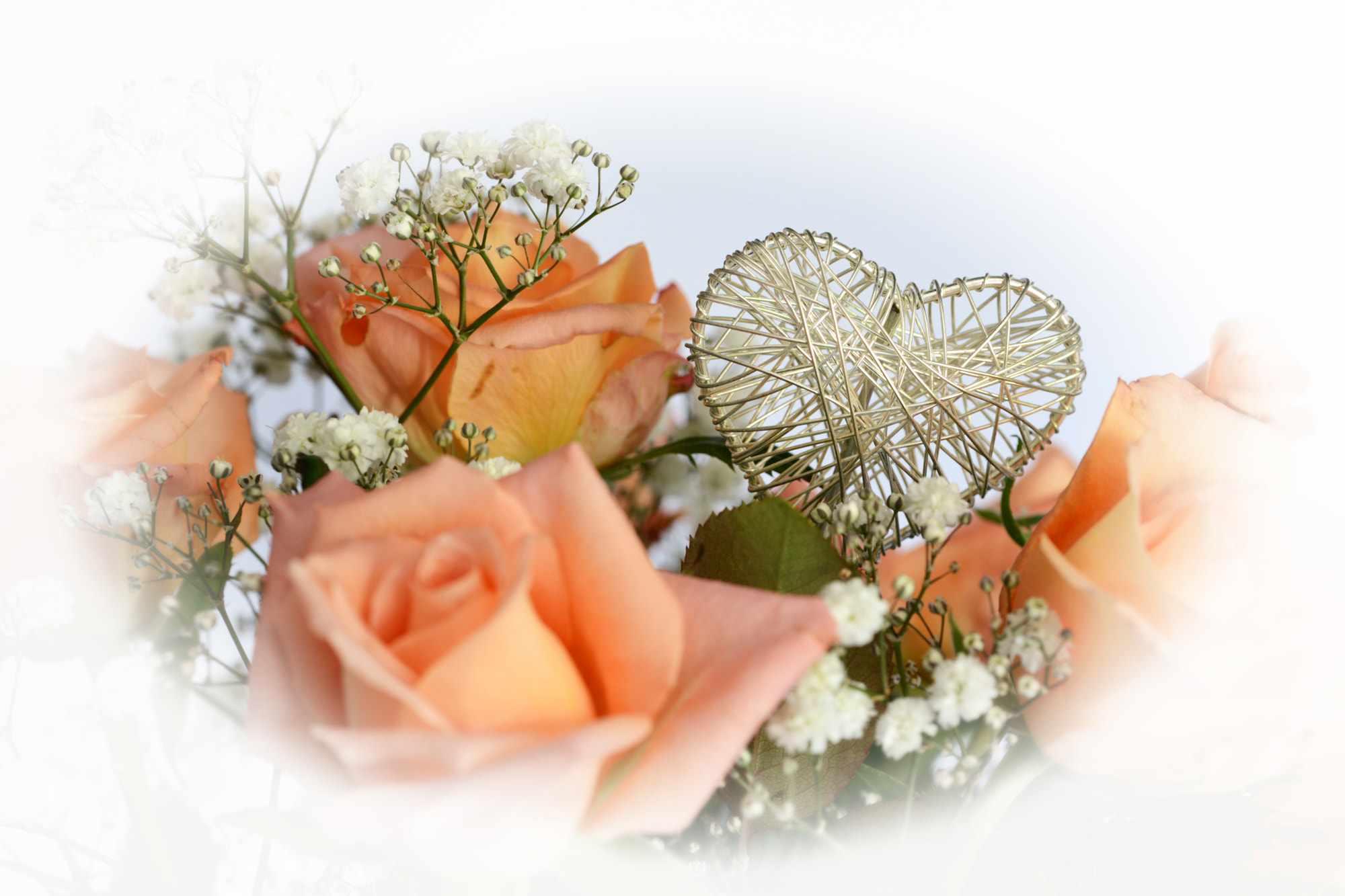 Nikon D600 sample photo. Heartbeat photography