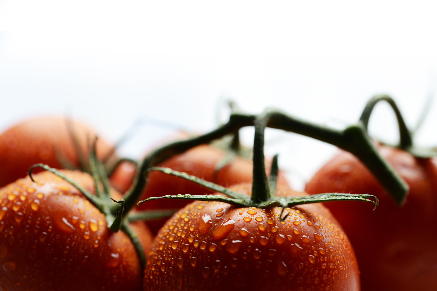 Nikon D600 sample photo. Truss tomatoes photography