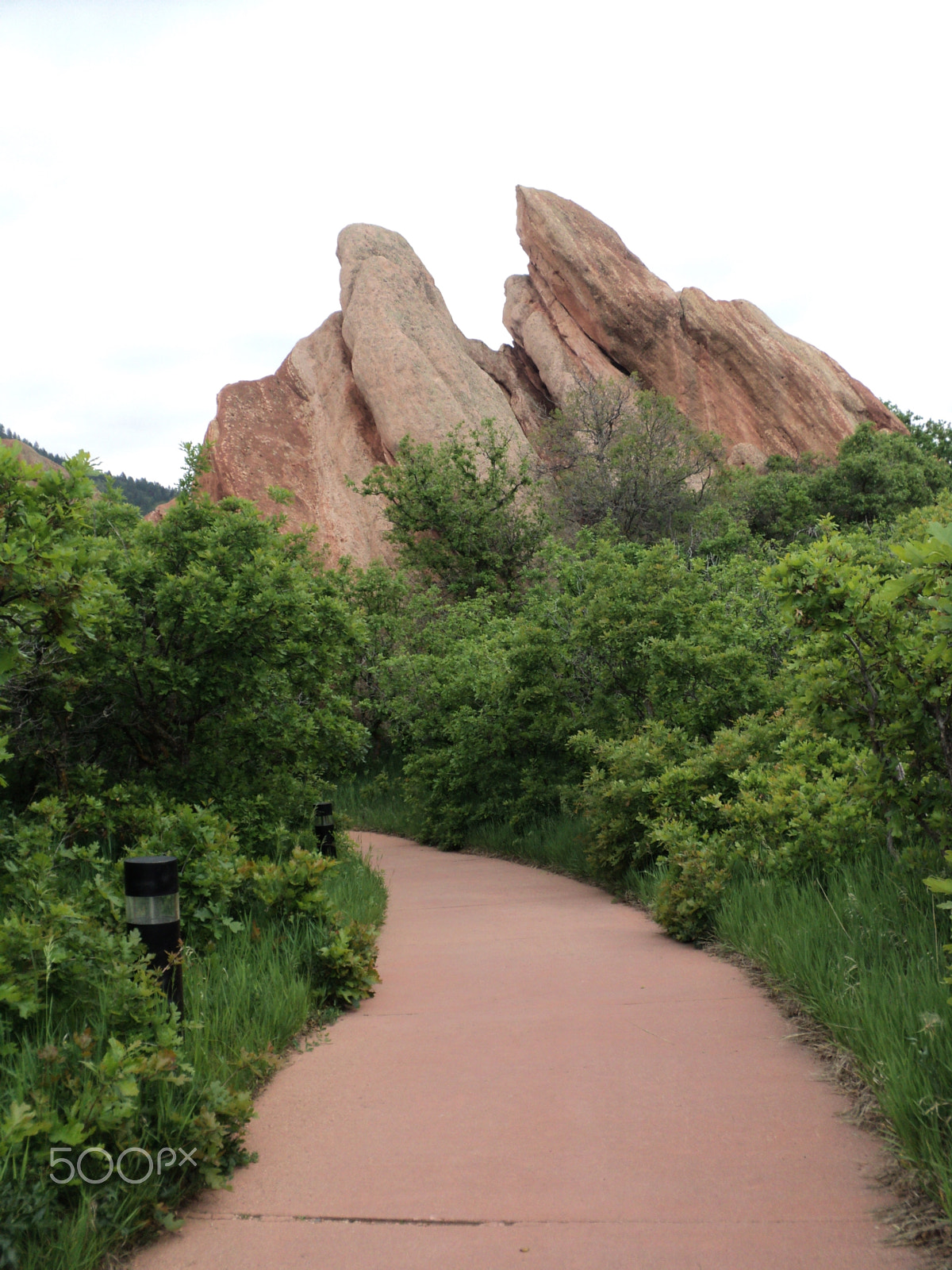 Sony DSC-S2100 sample photo. Roxborough state park photography