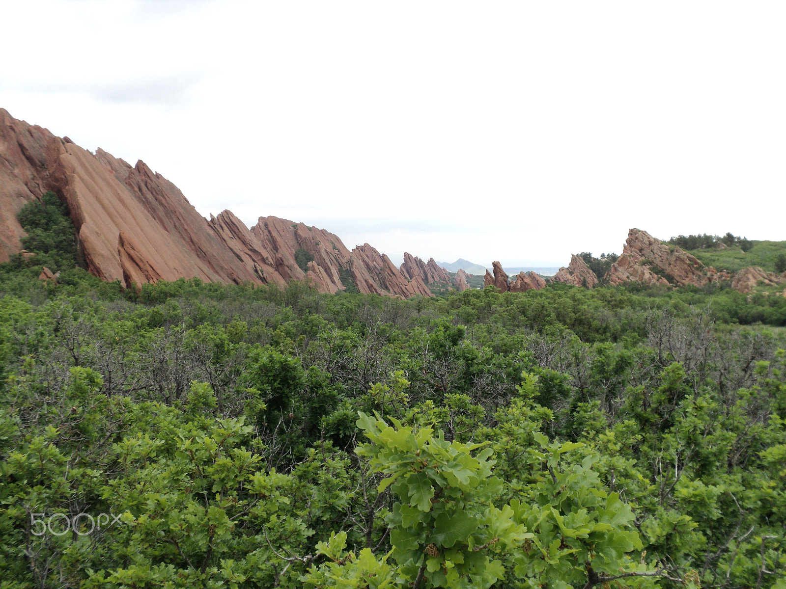 Sony DSC-S2100 sample photo. Roxborough state park photography