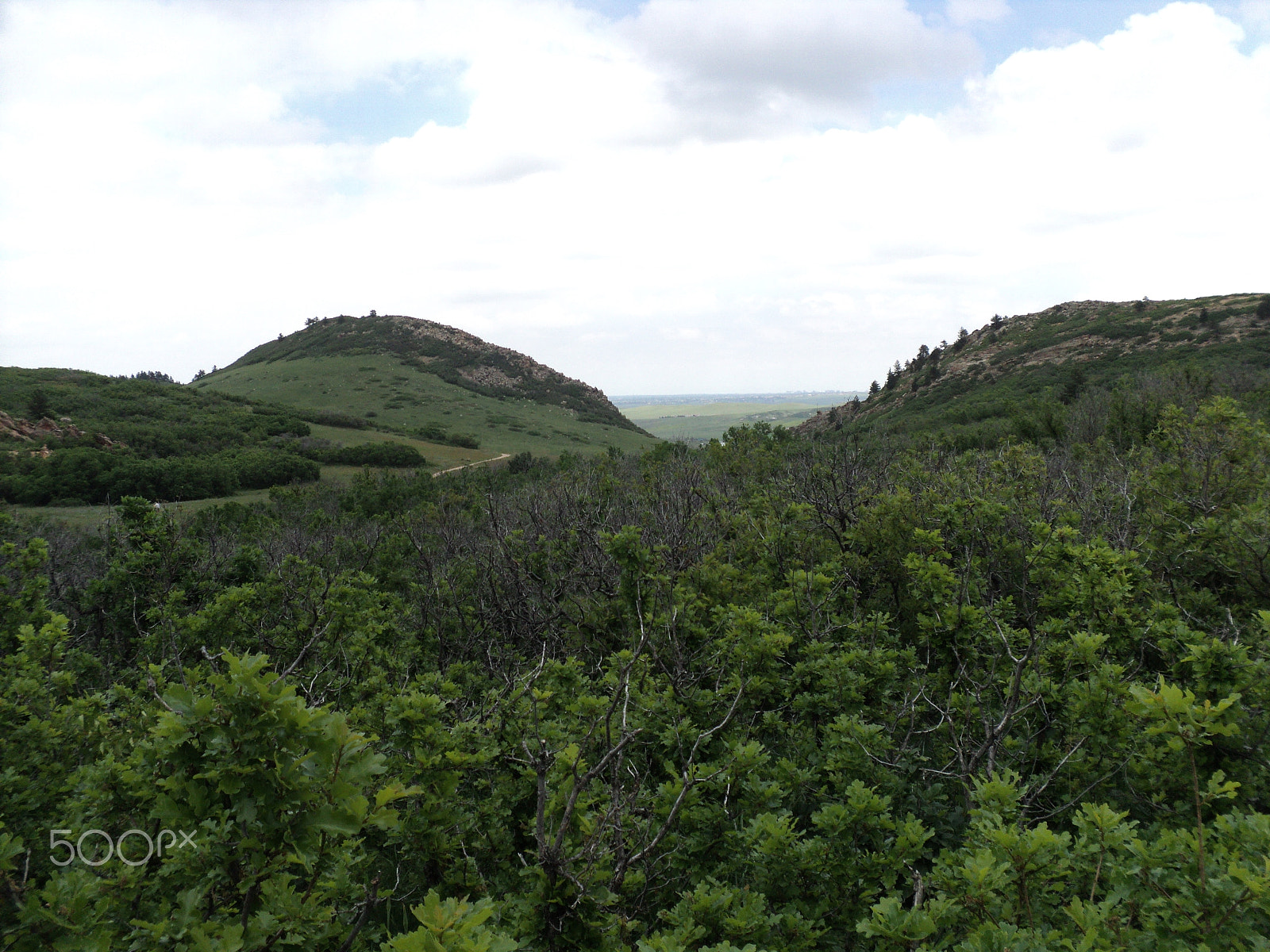 Sony DSC-S2100 sample photo. Roxborough state park photography