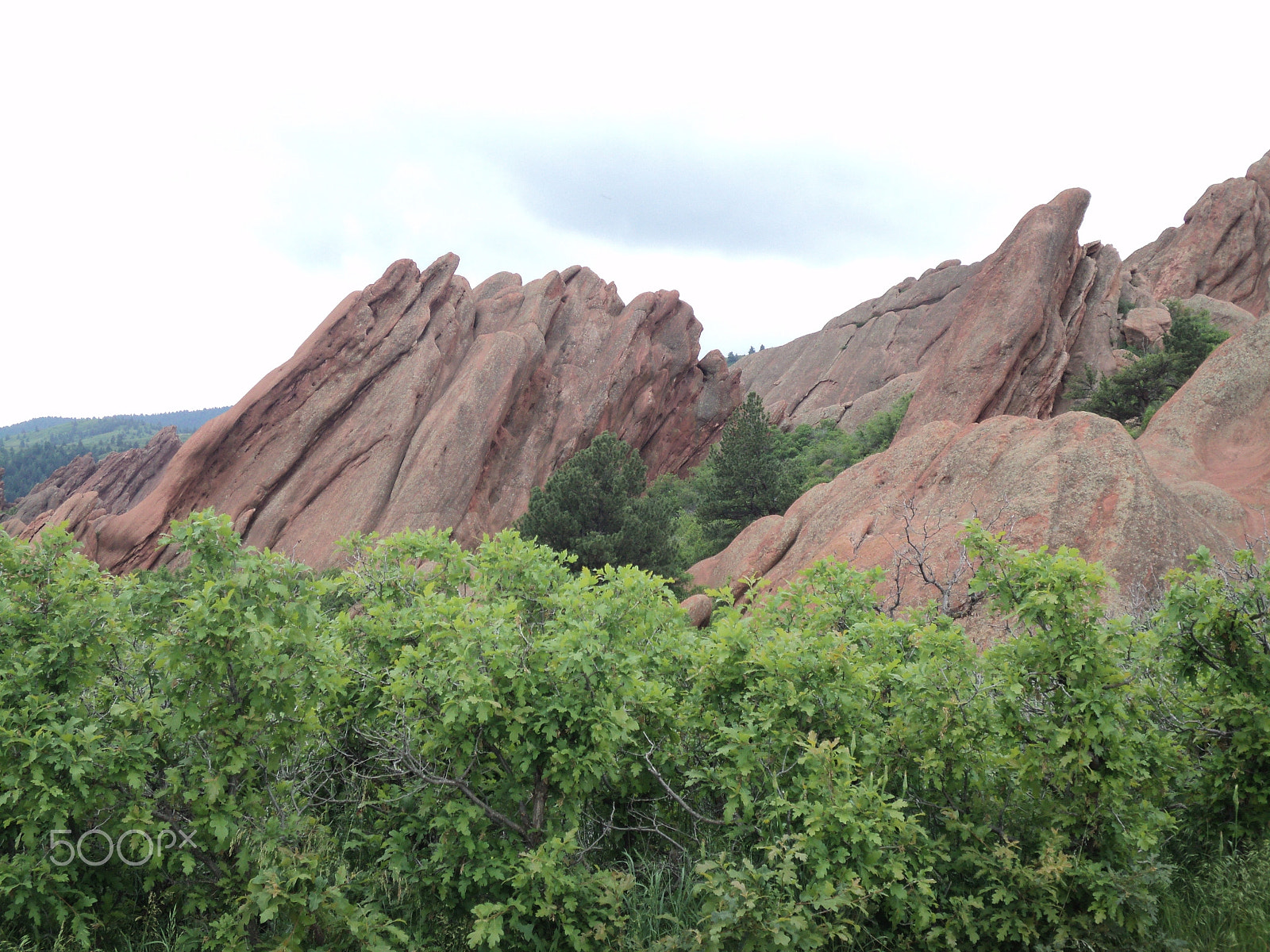 Sony DSC-S2100 sample photo. Roxborough state park photography