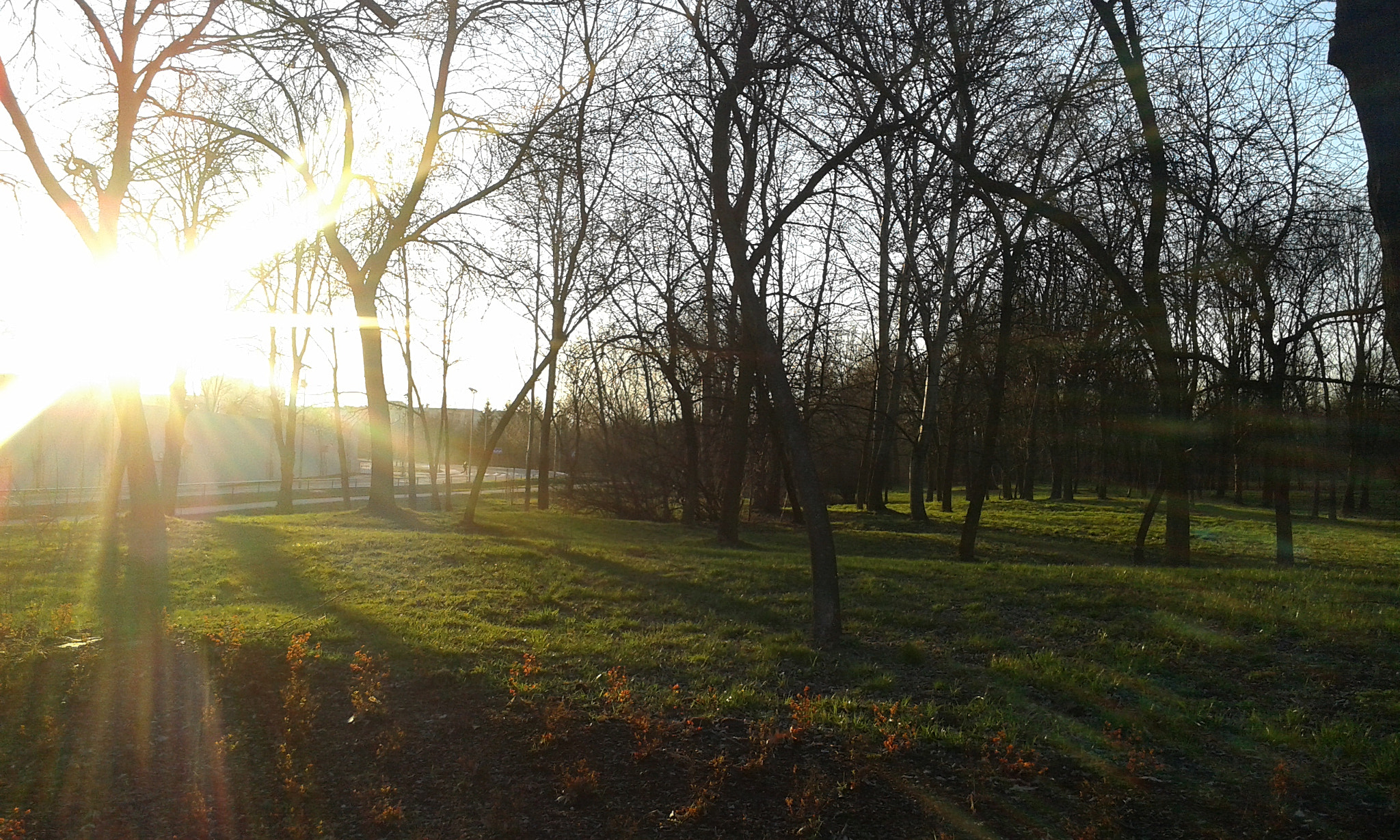 Samsung Galaxy Core Plus sample photo. Sunset :3 photography