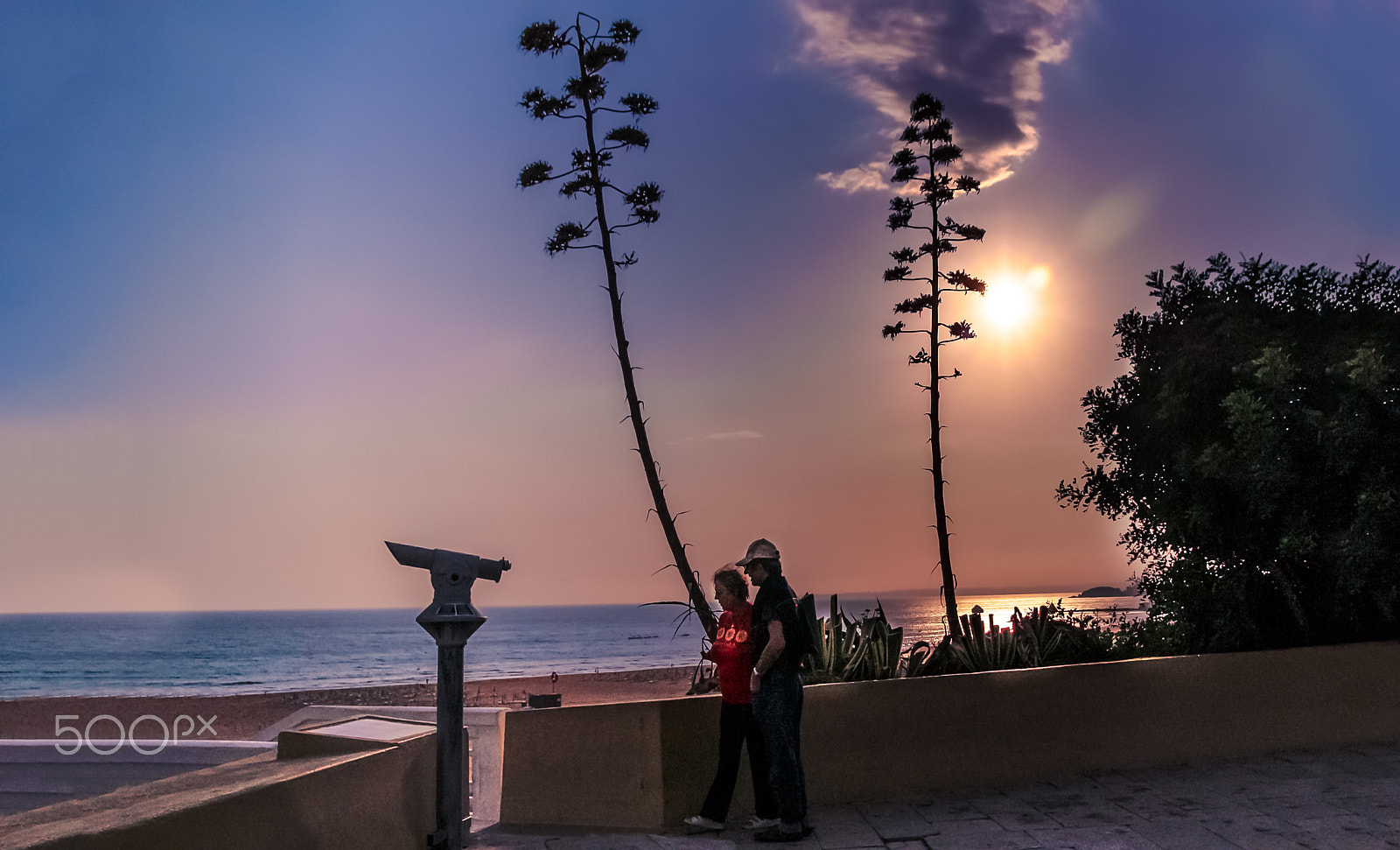 Canon EOS 450D (EOS Rebel XSi / EOS Kiss X2) + Sigma 18-50mm f/2.8 Macro sample photo. Sunset lovers photography