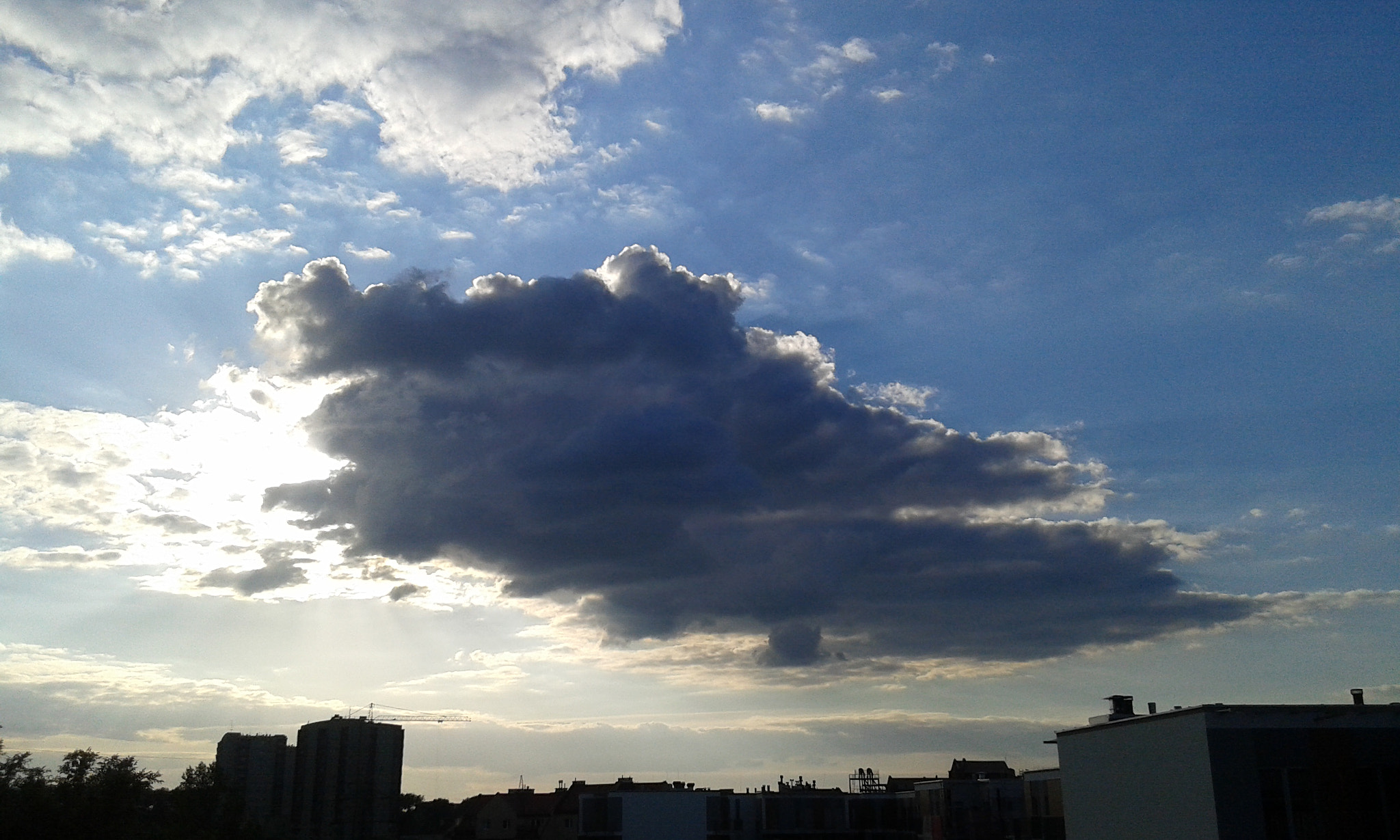Samsung Galaxy Core Plus sample photo. Amazing :3 photography