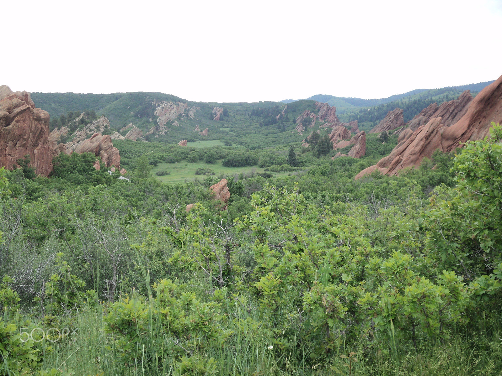 Sony DSC-S2100 sample photo. Roxborough state park photography
