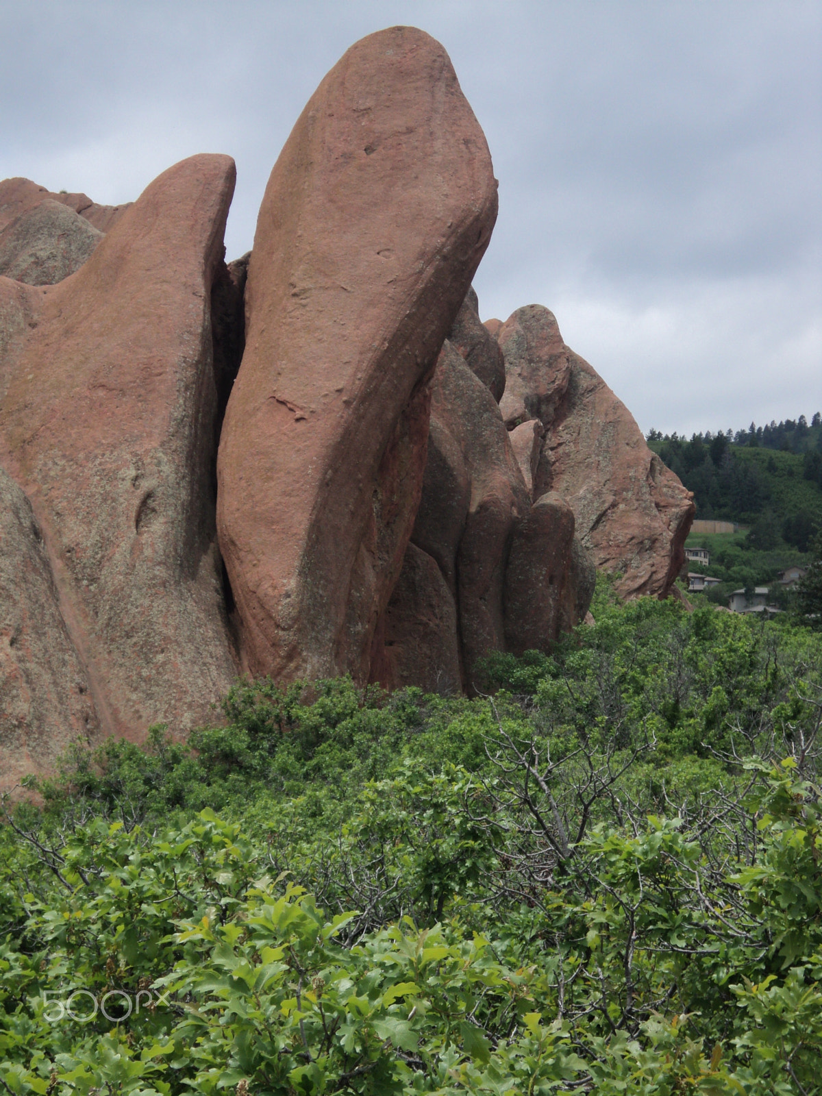 Sony DSC-S2100 sample photo. Roxborough state park photography