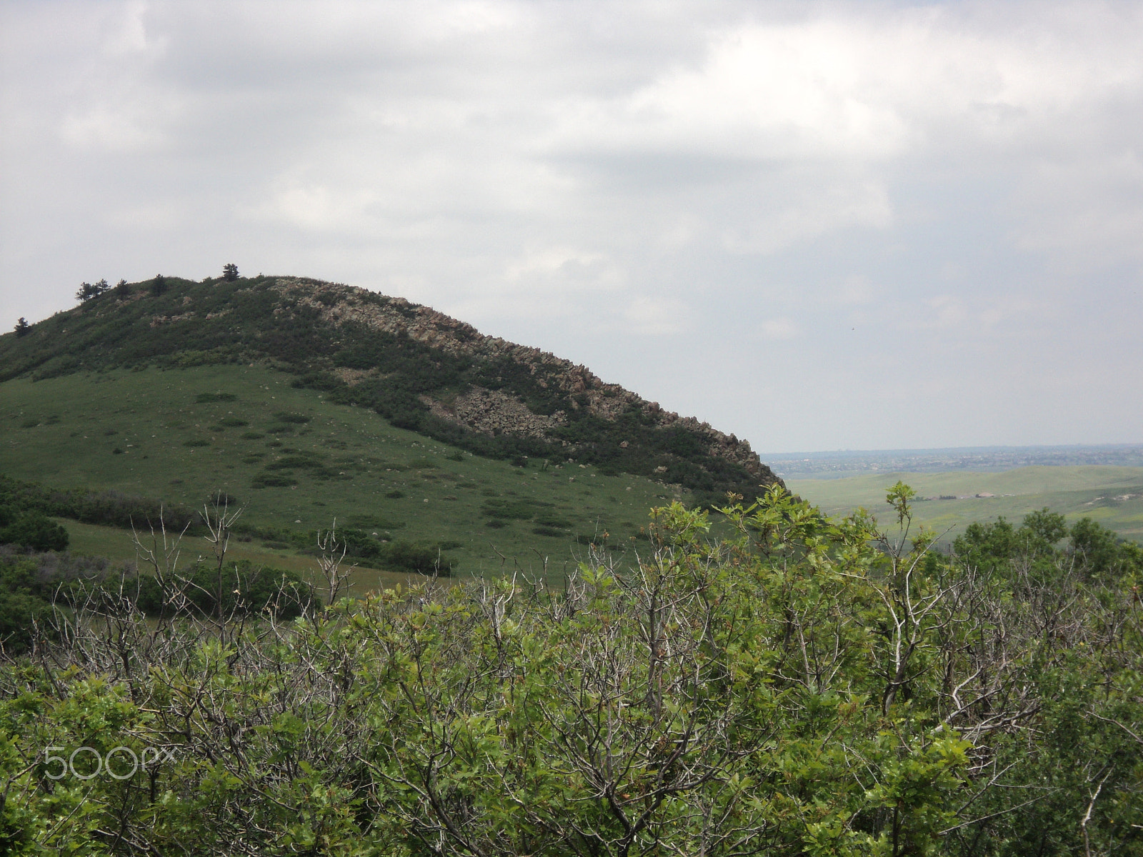 Sony DSC-S2100 sample photo. Roxborough state park photography