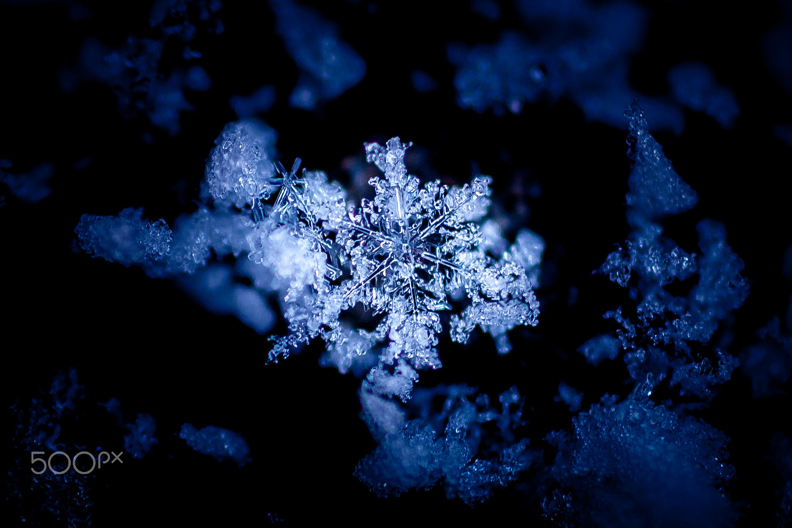 Pentax K-7 sample photo. Snow jewelry photography