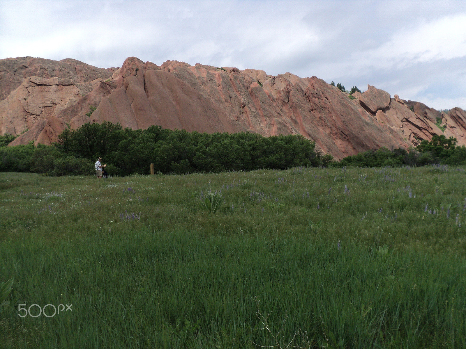 Sony DSC-S2100 sample photo. Roxborough state park photography