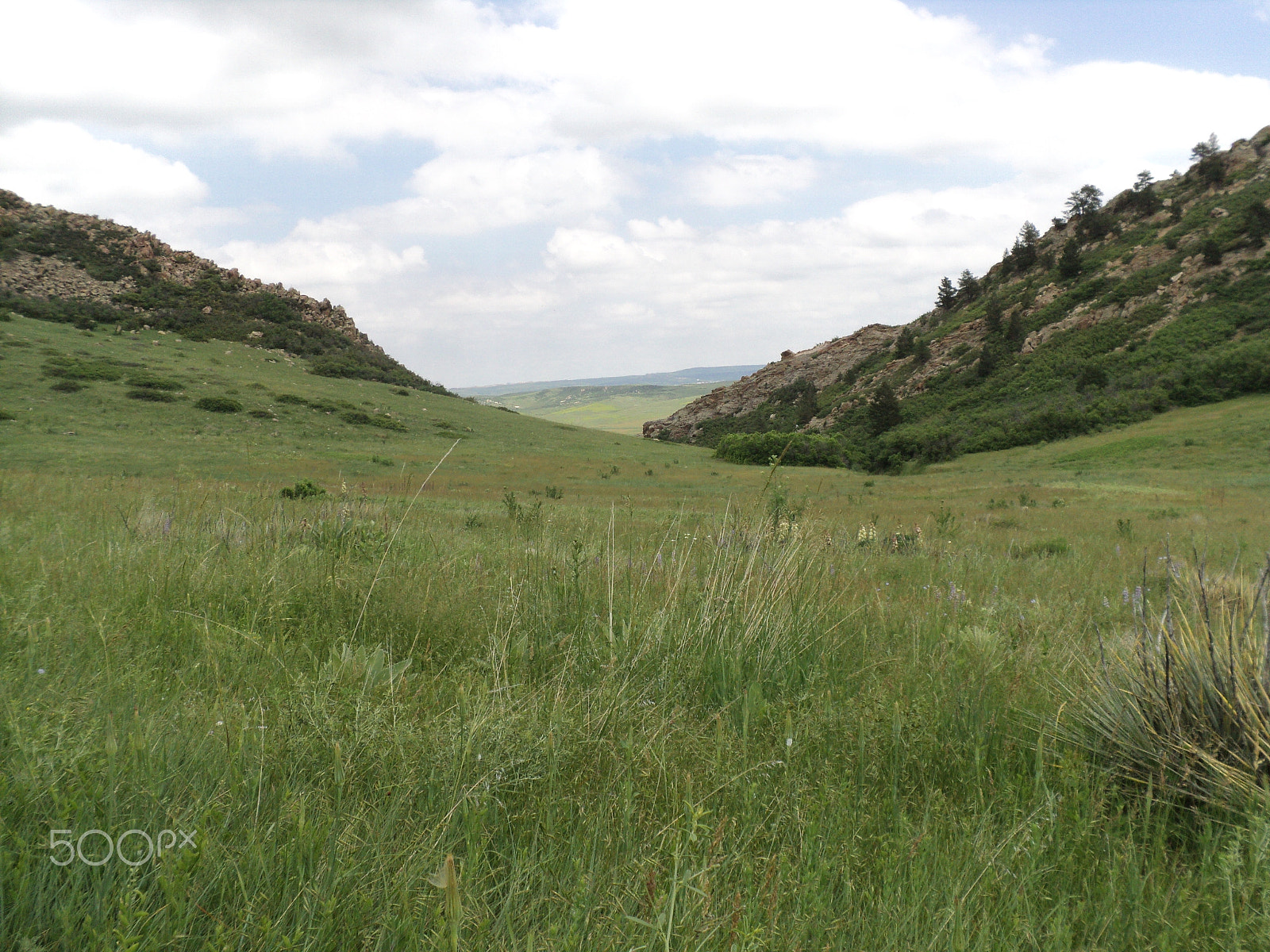 Sony DSC-S2100 sample photo. Roxborough state park photography