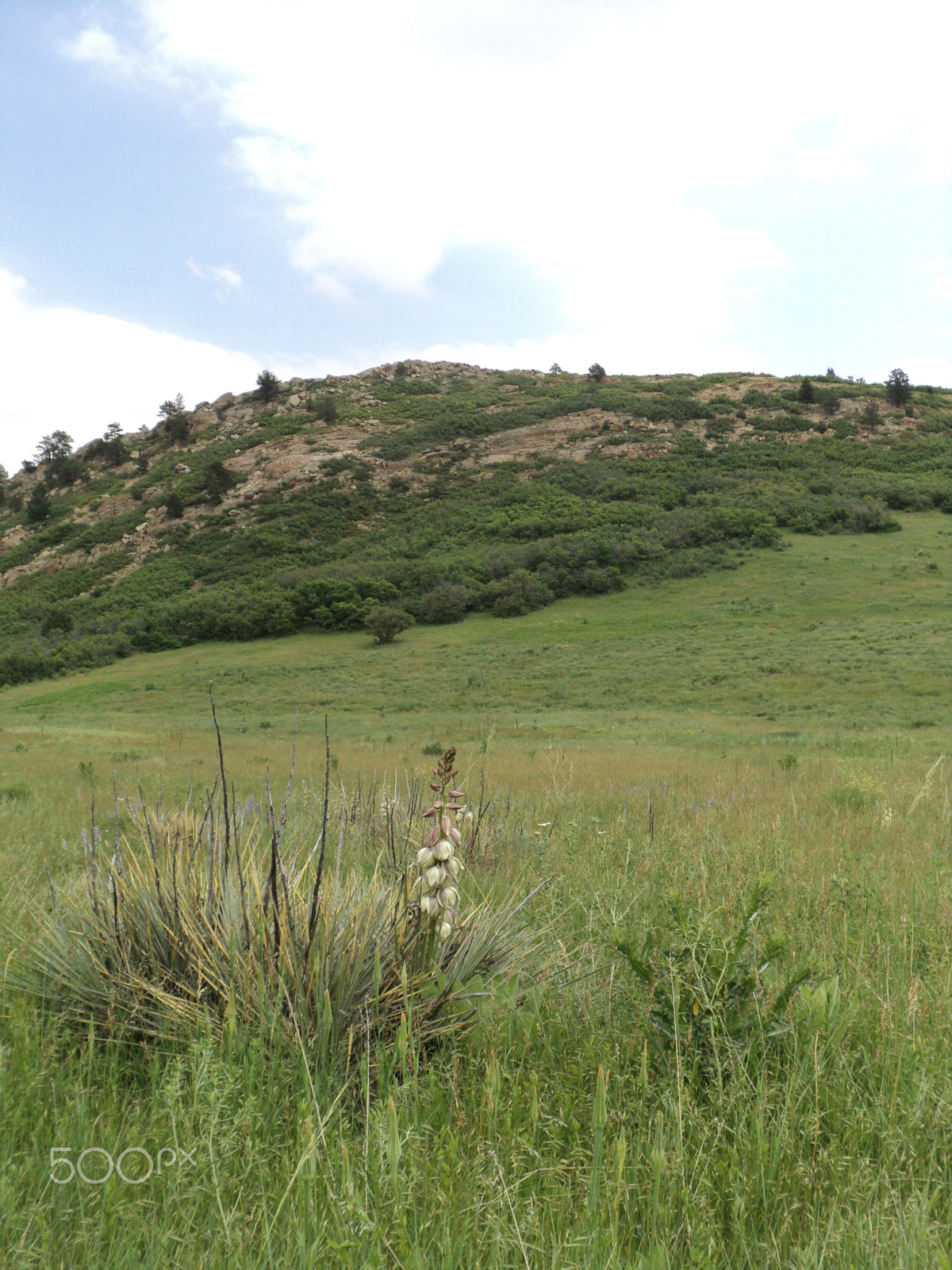 Sony DSC-S2100 sample photo. Roxborough state park photography