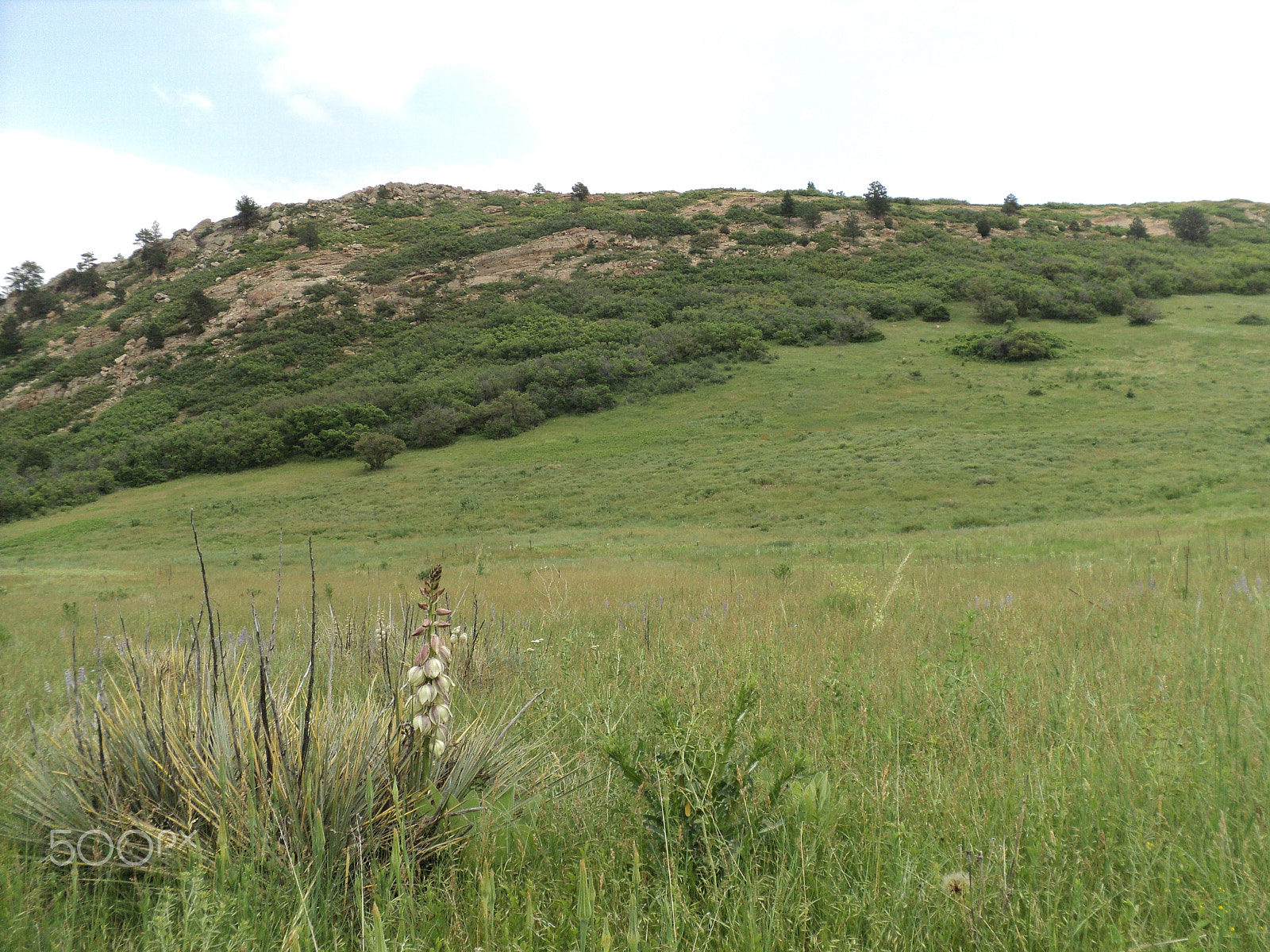 Sony DSC-S2100 sample photo. Roxborough state park photography
