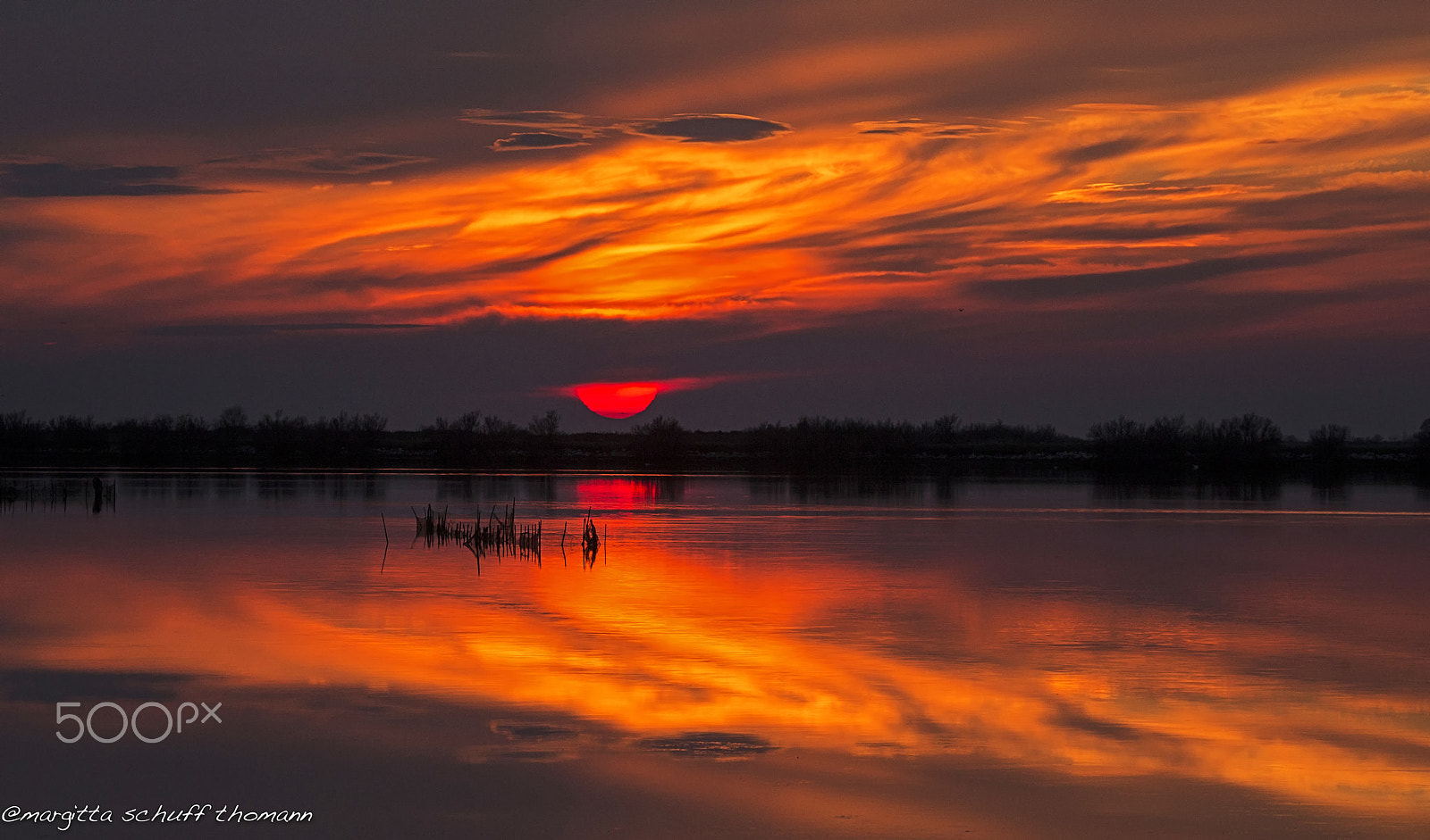 Canon EOS-1D X + Tamron SP 150-600mm F5-6.3 Di VC USD sample photo. Sunsetnthis evening in the lagoon of grado photography