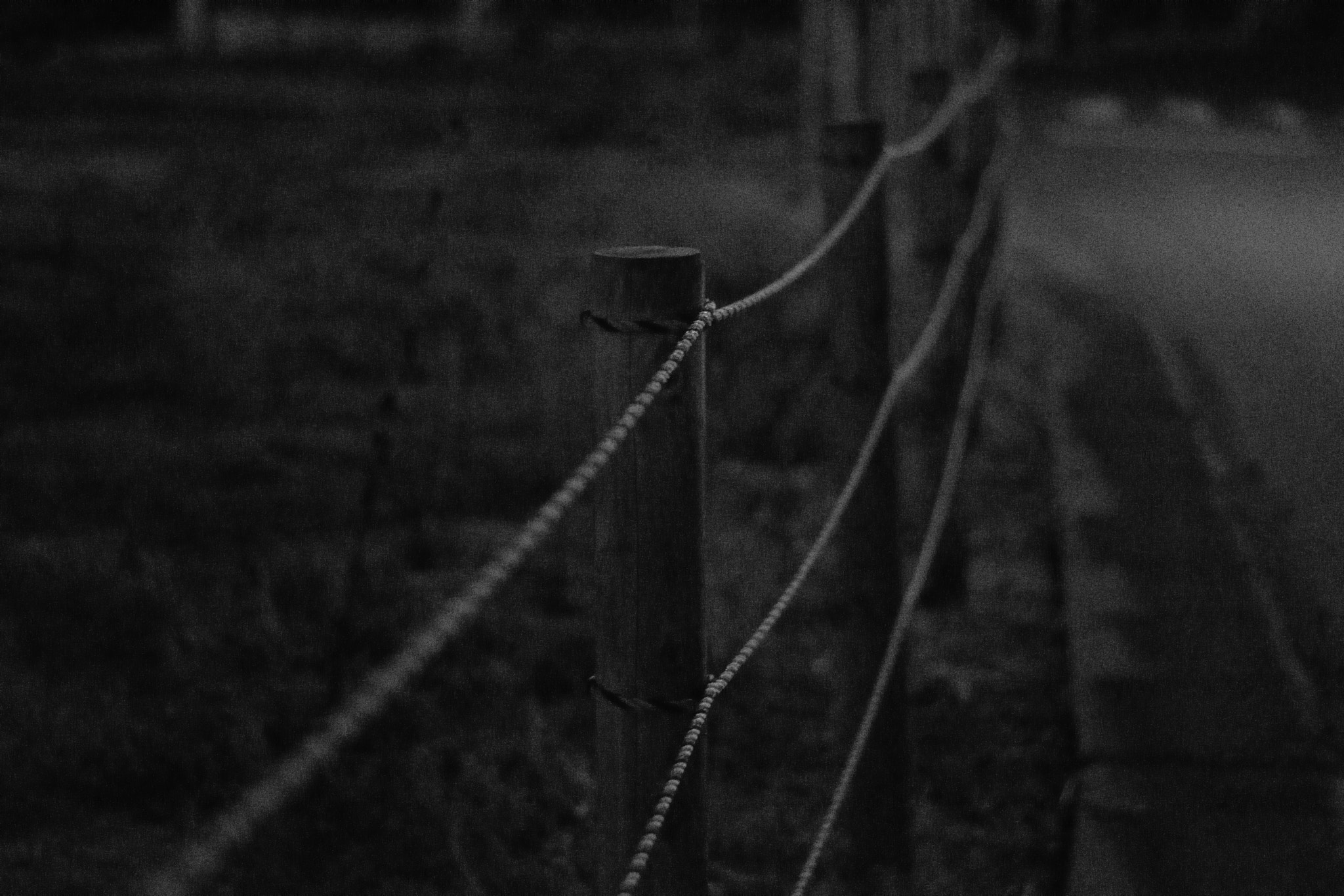 Nikon D5300 + 50mm F1.8 sample photo. The ropes photography