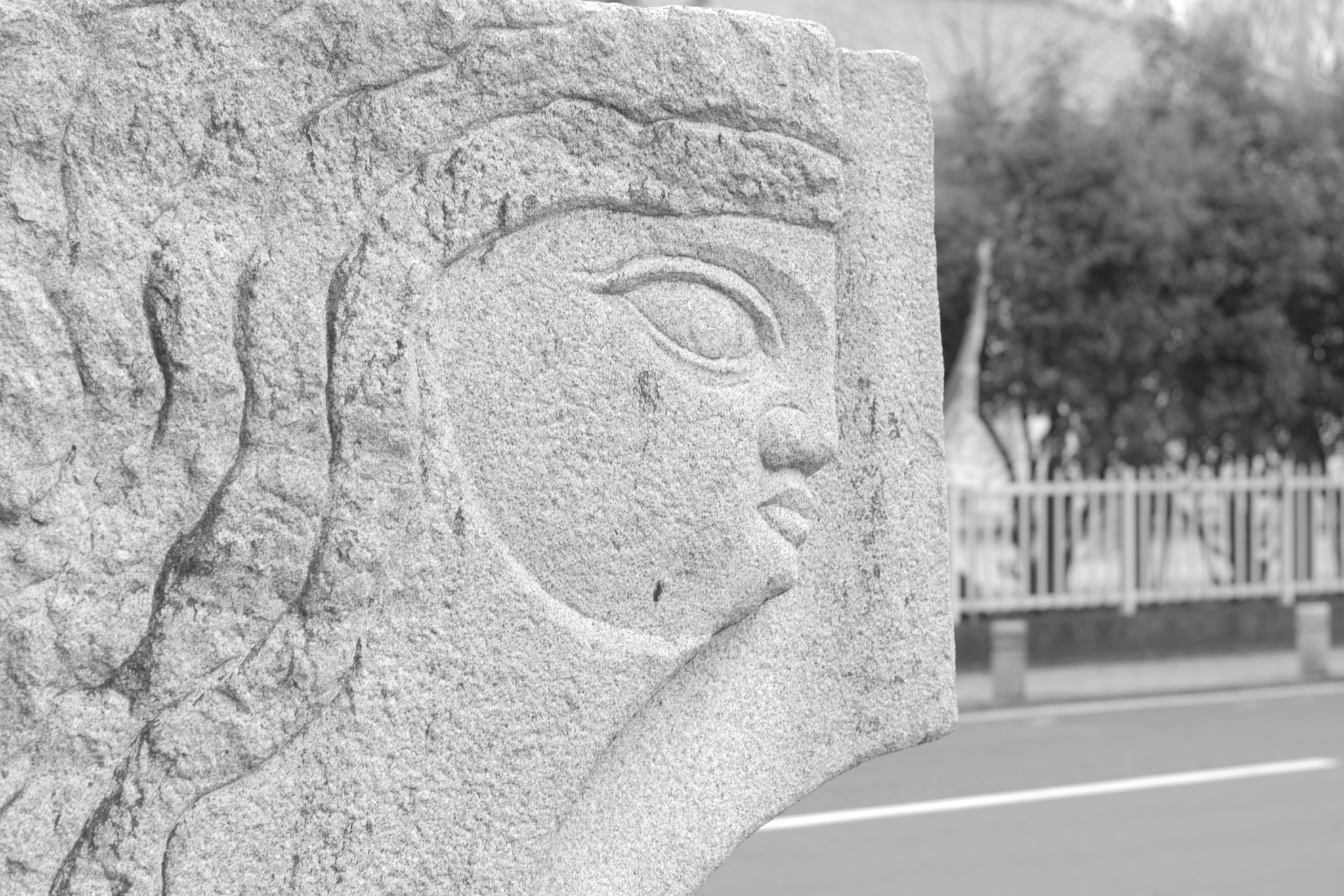 Nikon D5300 + 50mm F1.8 sample photo. The gaze photography