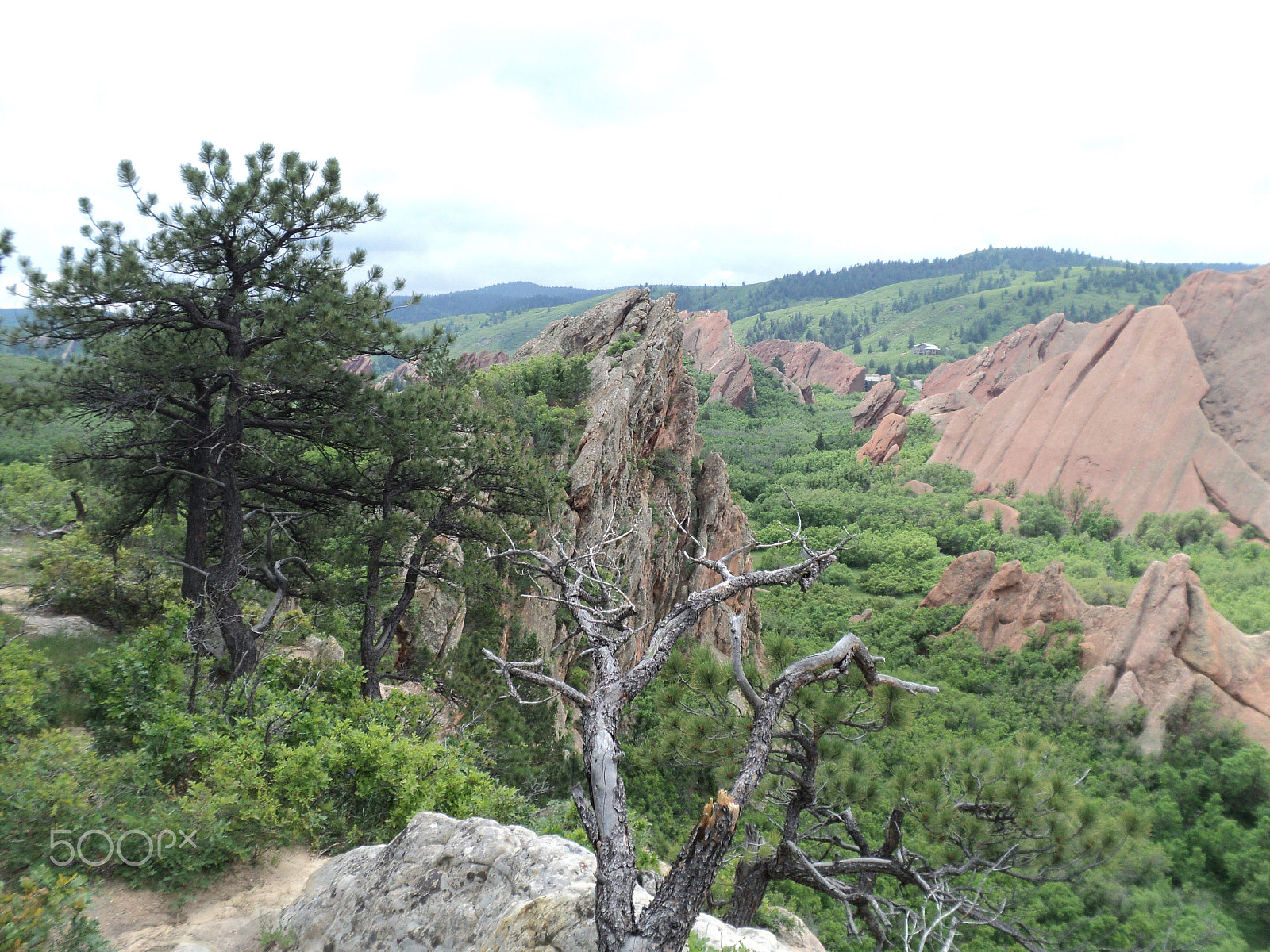 Sony DSC-S2100 sample photo. Roxborough state park photography