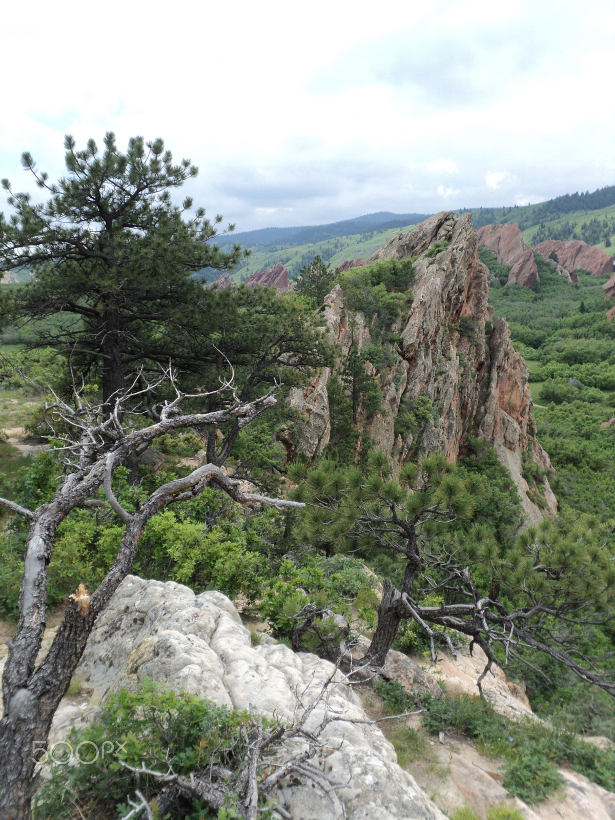 Sony DSC-S2100 sample photo. Roxborough state park photography