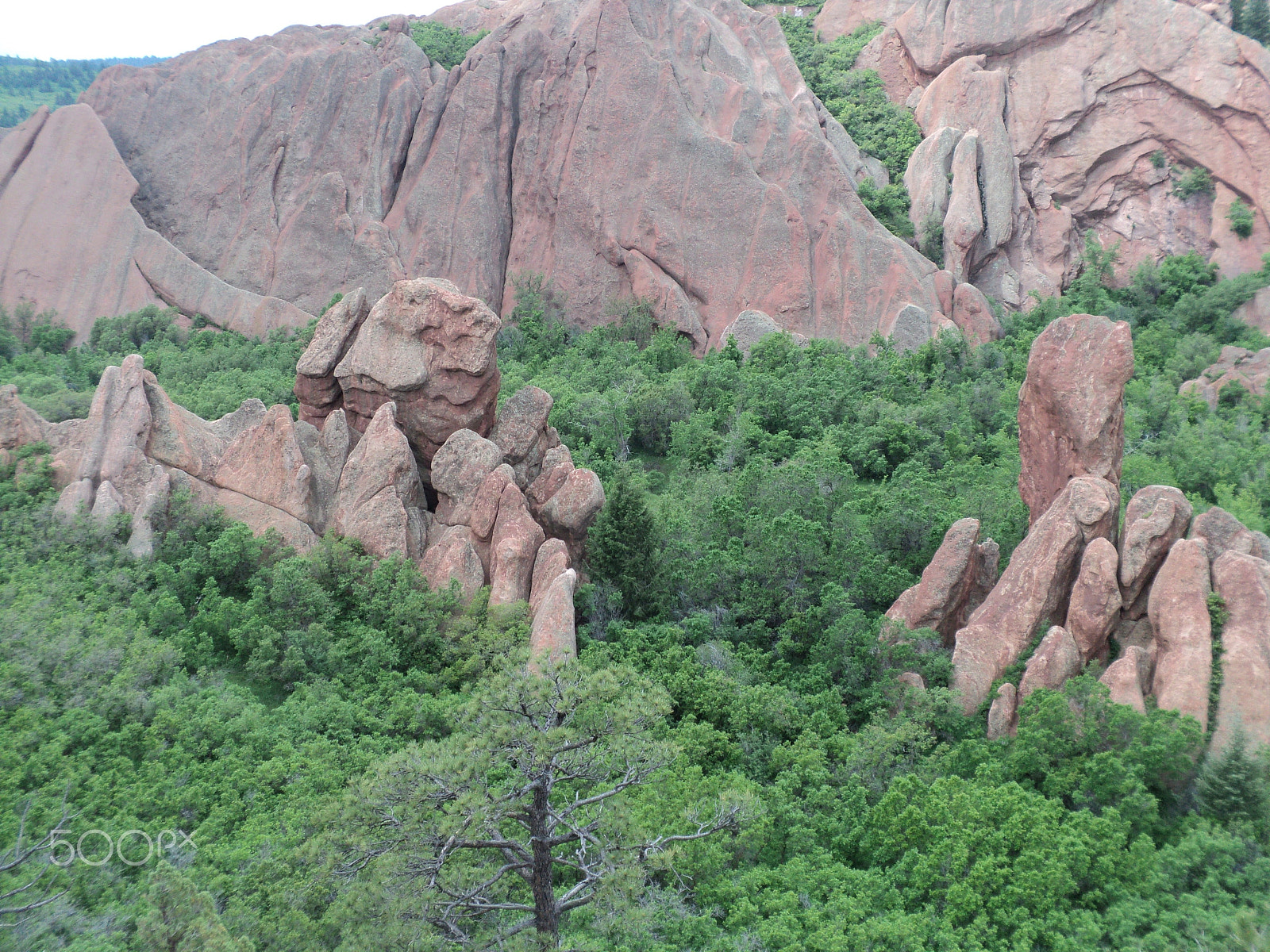 Sony DSC-S2100 sample photo. Roxborough state park photography