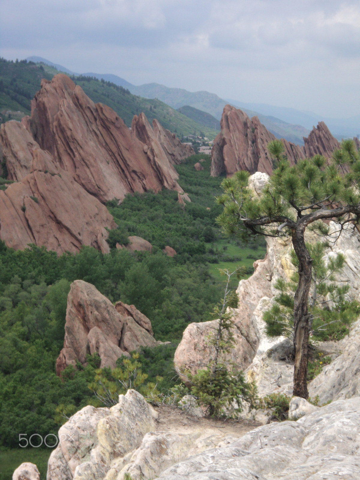 Sony DSC-S2100 sample photo. Roxborough state park photography