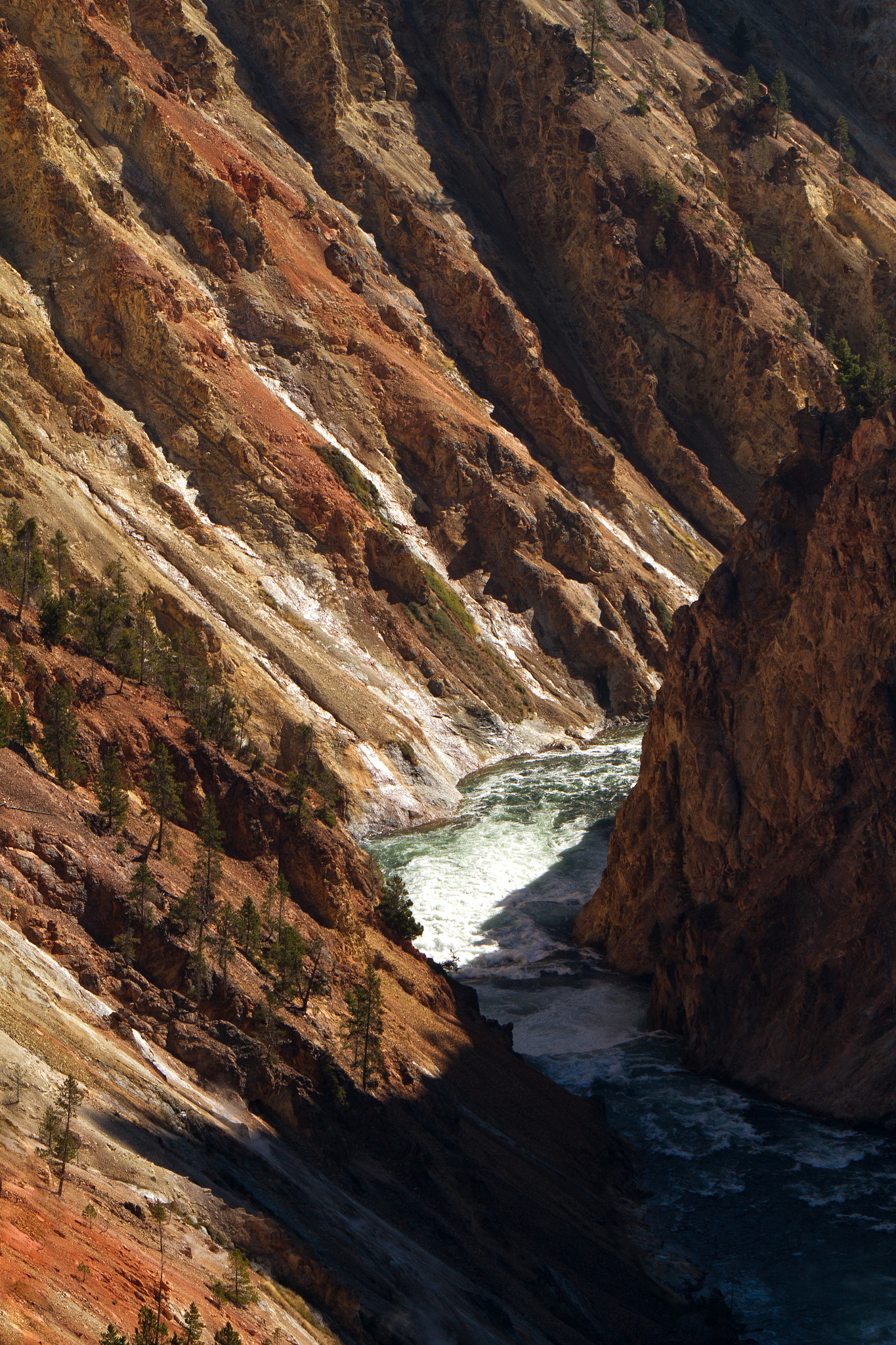 Canon EF 70-200mm F2.8L IS USM sample photo. Gorgeous yellowstone photography