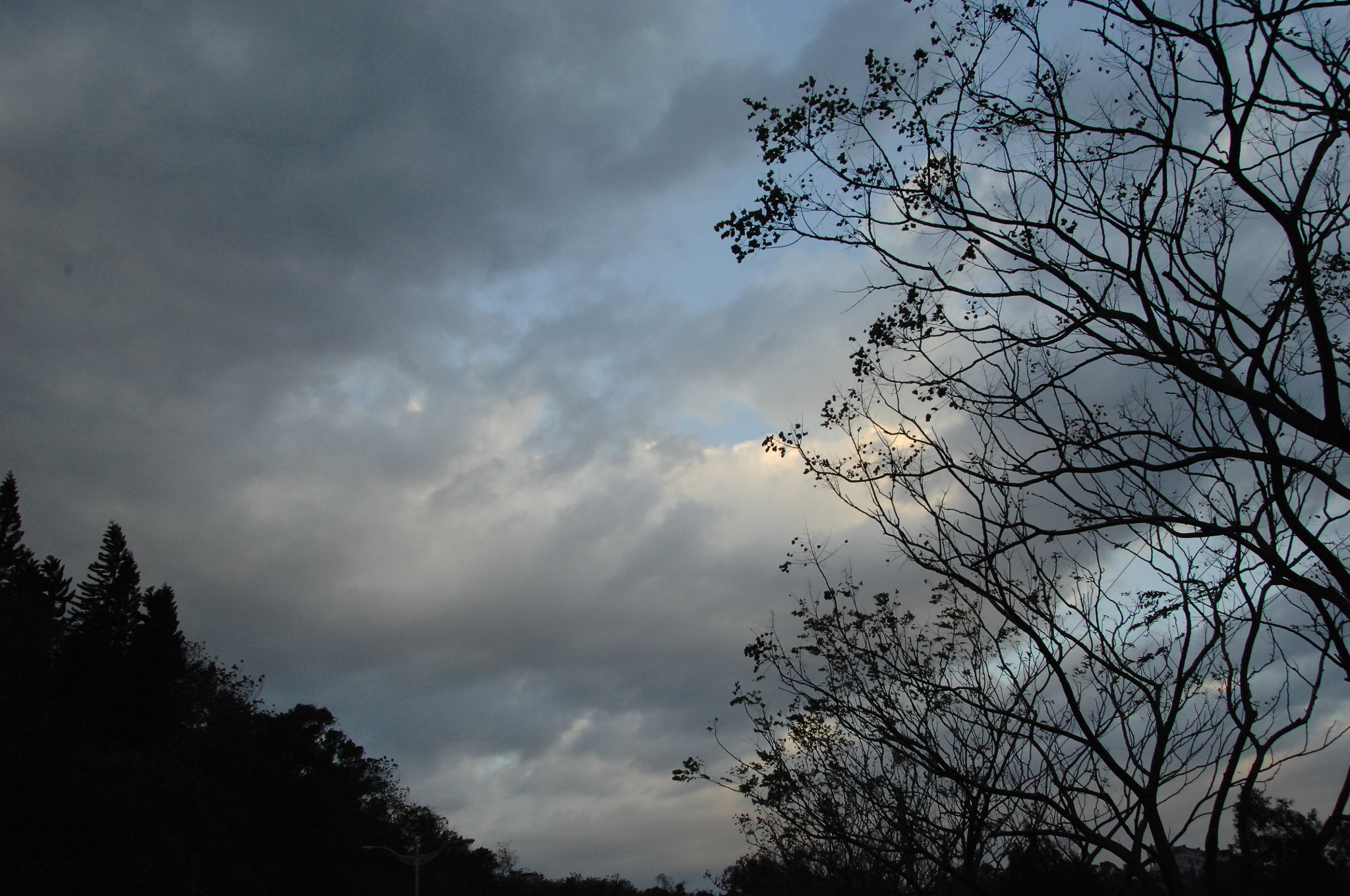 Nikon D2X sample photo. .. photography