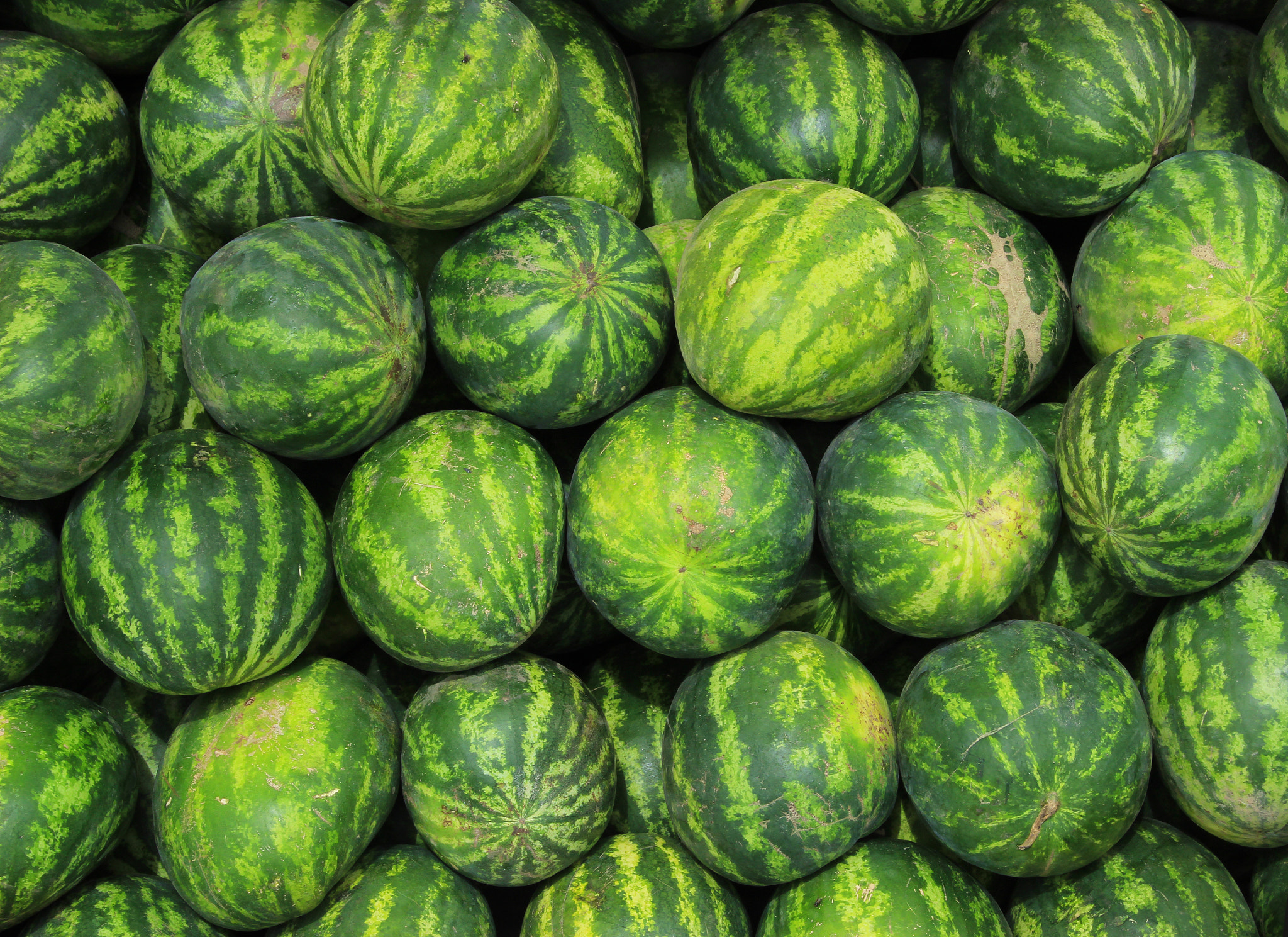 Canon EF-S 18-55mm F3.5-5.6 sample photo. Watermelons at the market photography
