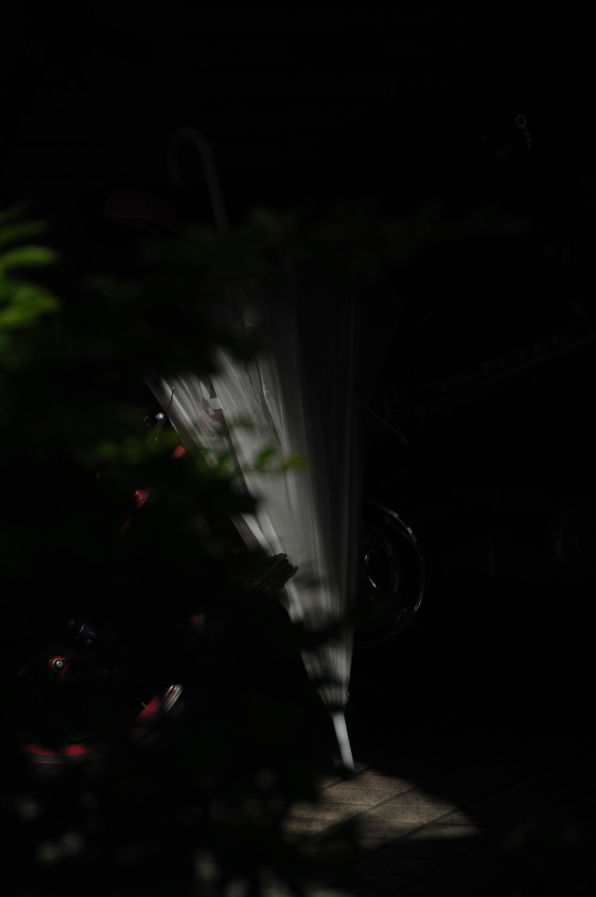 Nikon D2X sample photo. .. photography