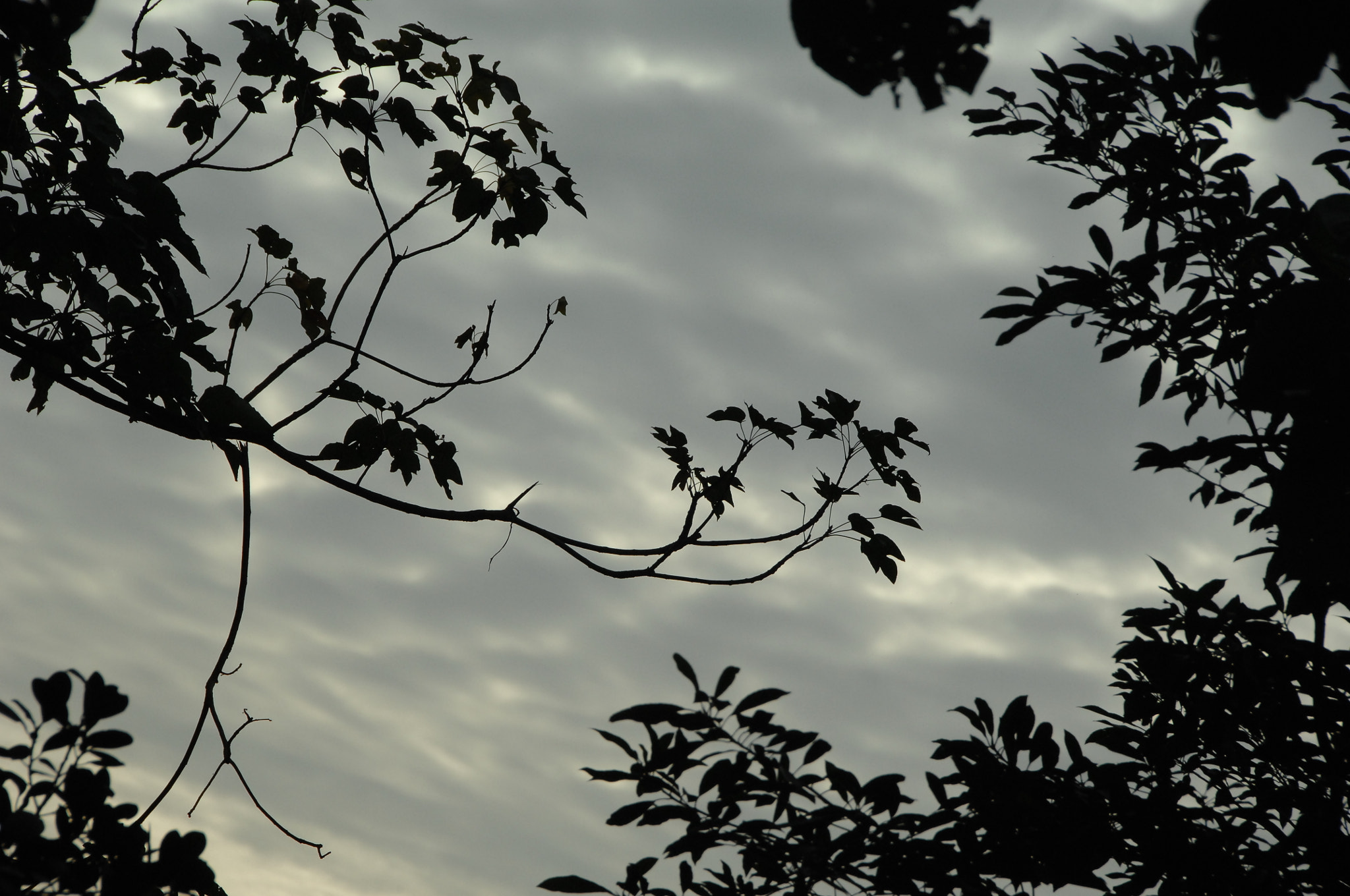 Nikon D2X sample photo. .. photography