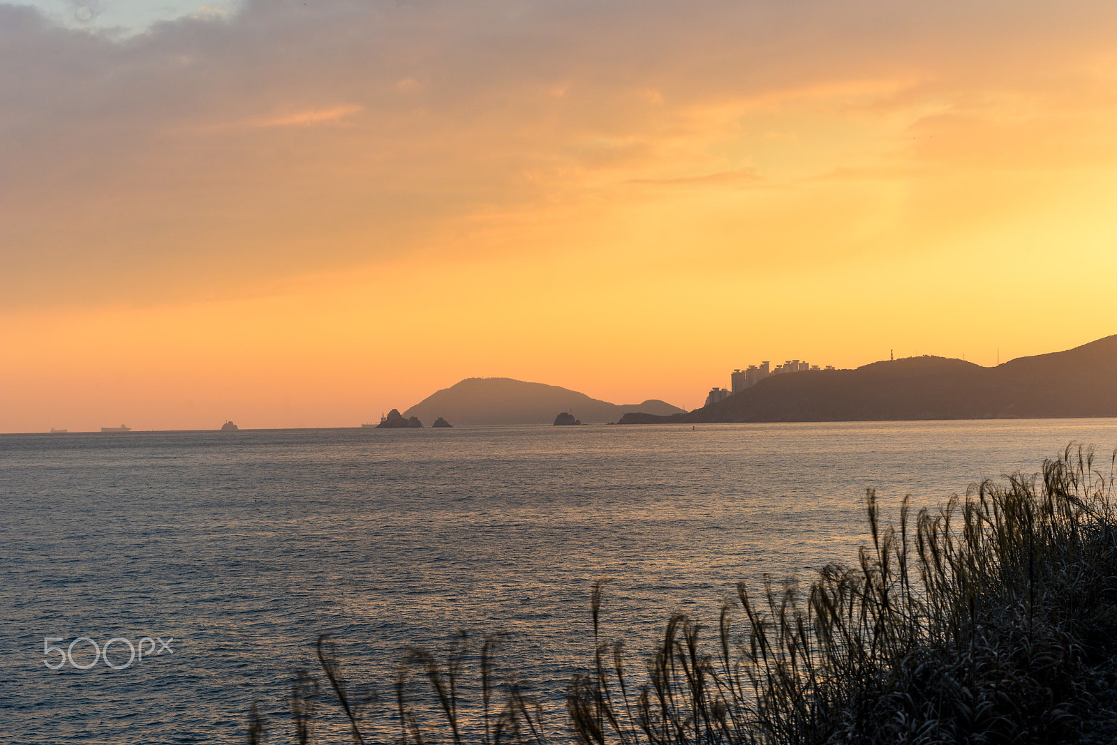 AF Zoom-Nikkor 80-200mm f/2.8 ED sample photo. Cheonsapo & haeundae photography
