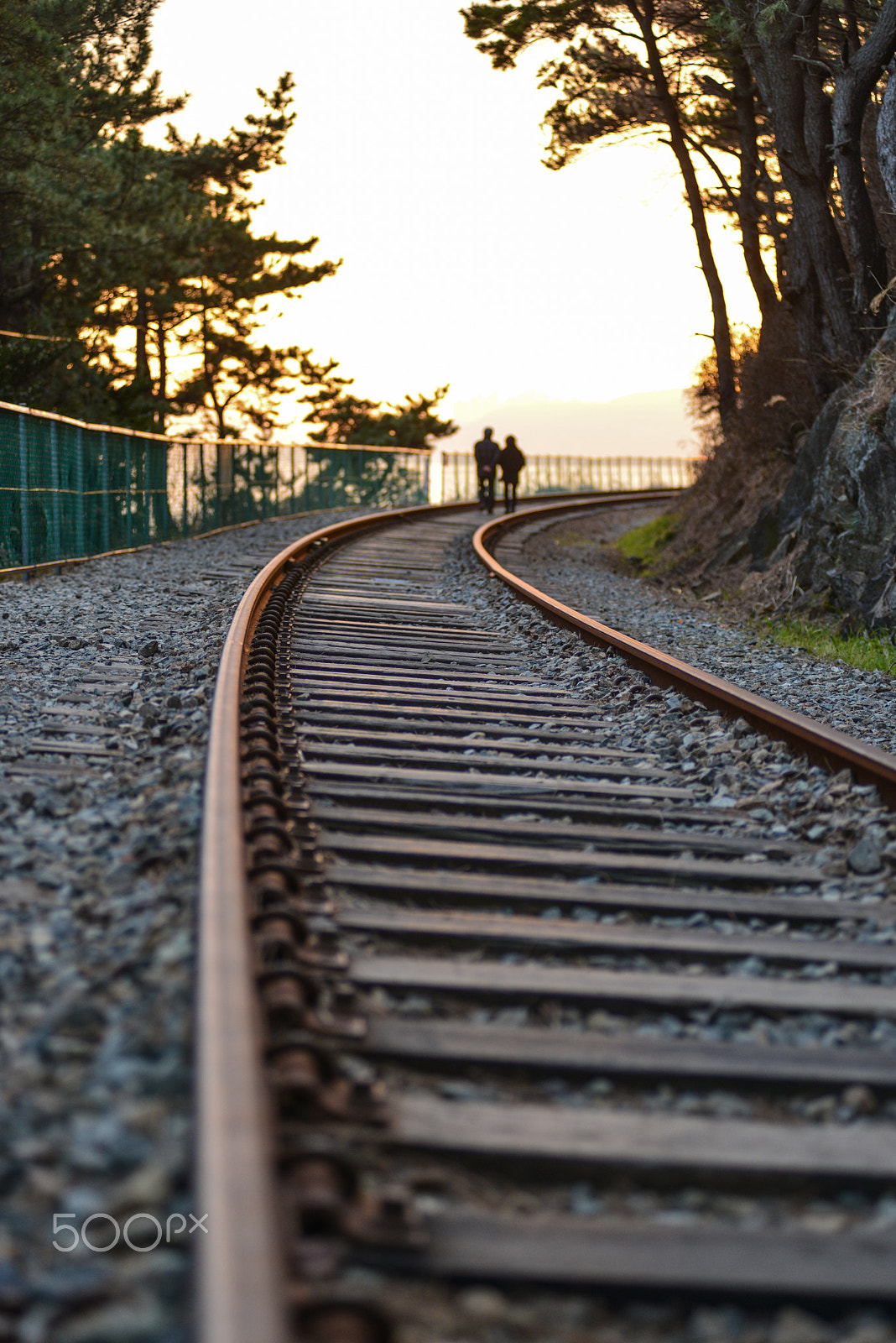 Nikon D800E + AF Zoom-Nikkor 80-200mm f/2.8 ED sample photo. Lovers in the tracks - an afternoon walk photography