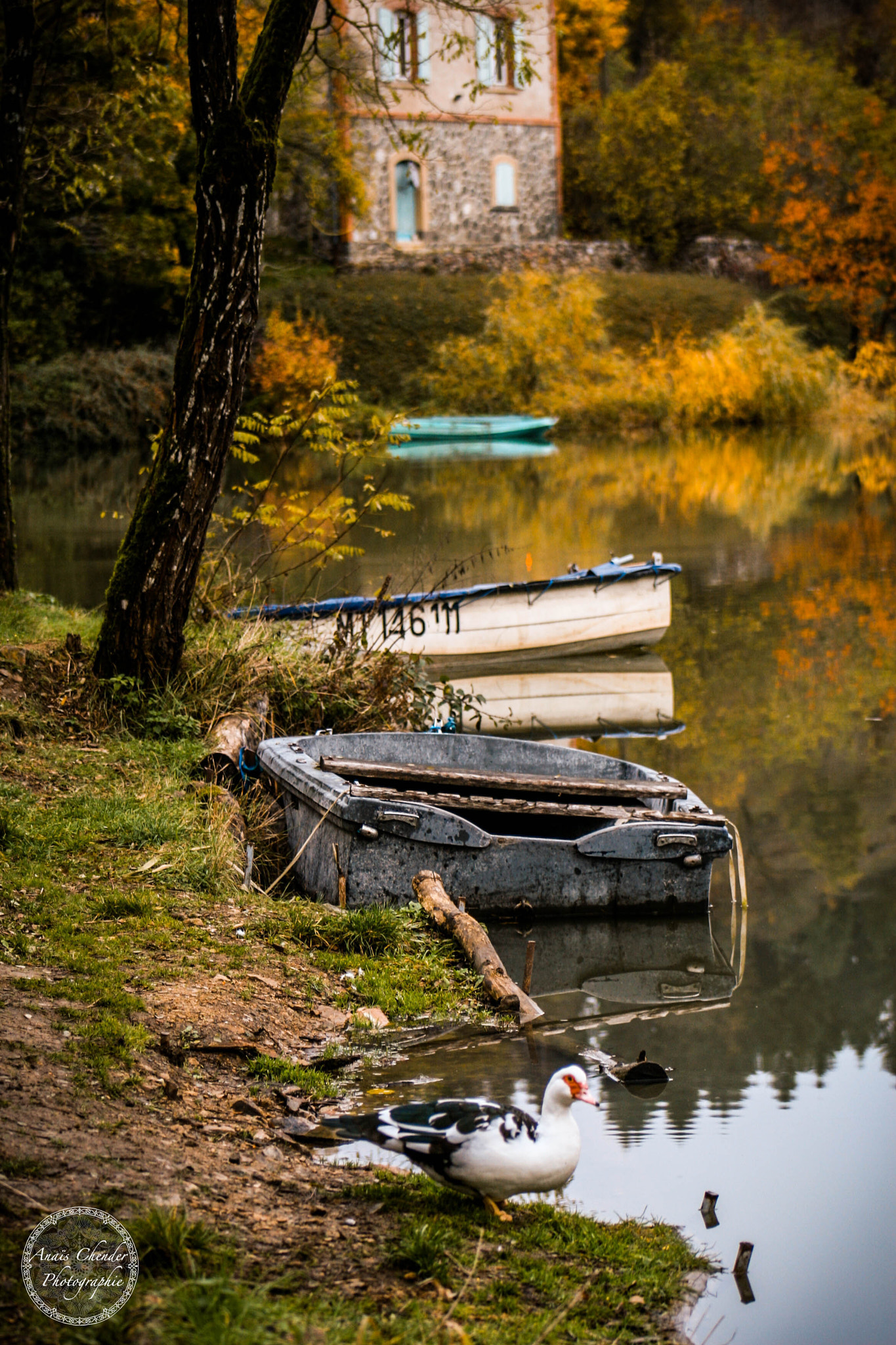 Canon EF 75-300mm f/4-5.6 USM sample photo. Automne photography