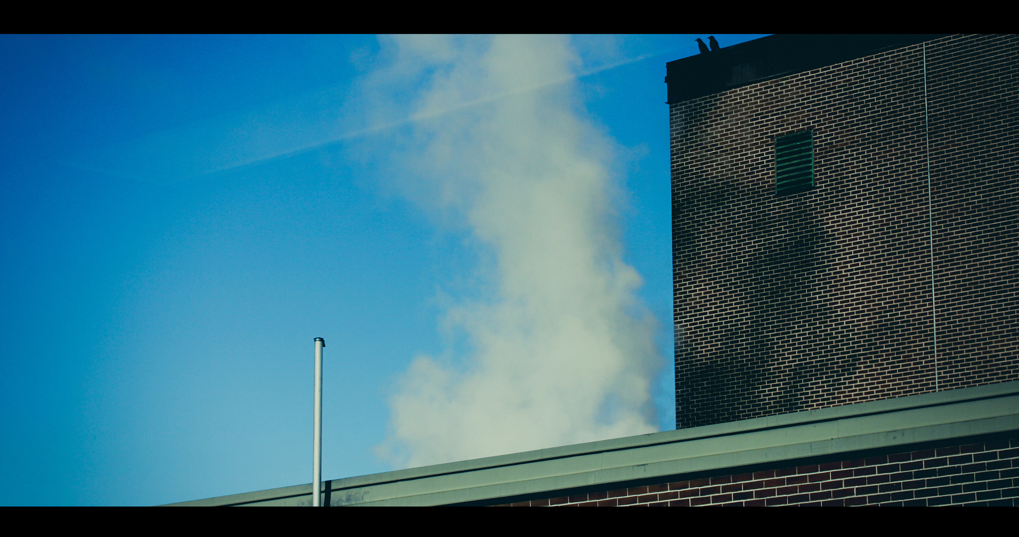 Canon EOS 550D (EOS Rebel T2i / EOS Kiss X4) sample photo. Smoke. photography