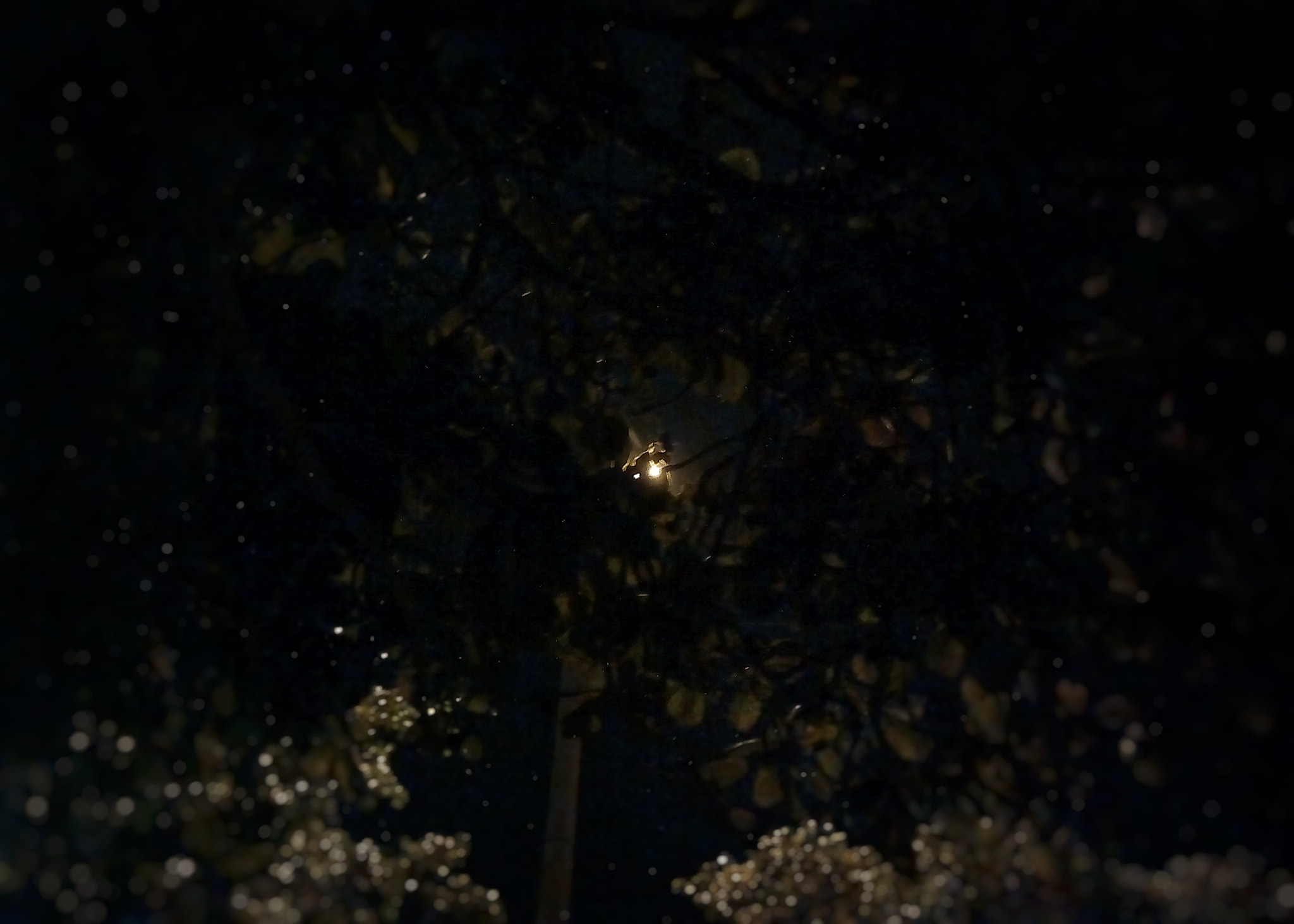 ZTE BLADE L2 sample photo. A hidden light photography