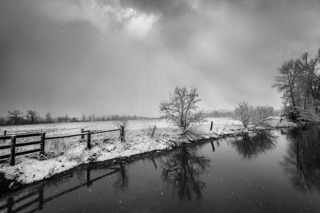A Snowy Ontario Day