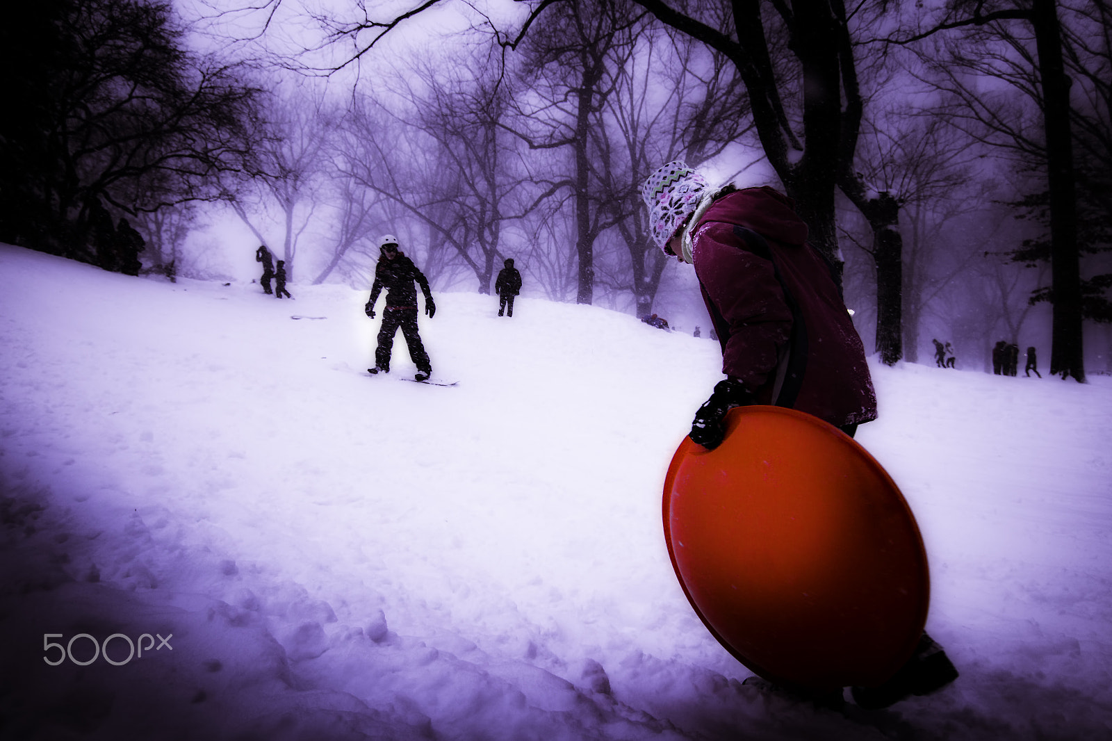 Canon EOS 1200D (EOS Rebel T5 / EOS Kiss X70 / EOS Hi) sample photo. Sledding in the blizzard photography