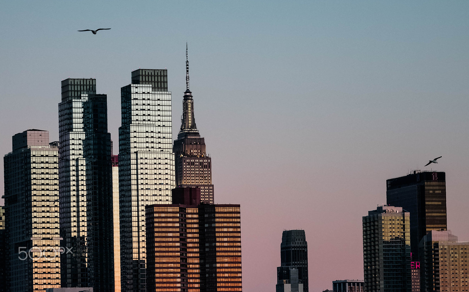 Sony 70-300mm F4.5-5.6 G SSM sample photo. 2 birds over manhattan skyline photography