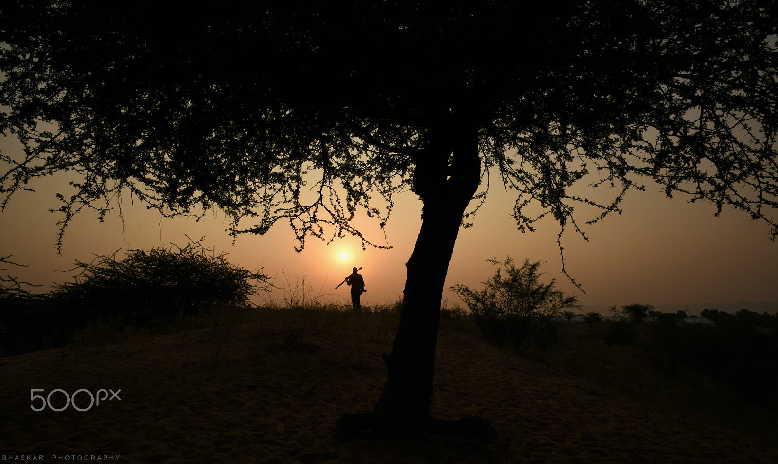 Nikon D810 + Nikon AF Nikkor 20mm F2.8D sample photo. Under the tree! photography