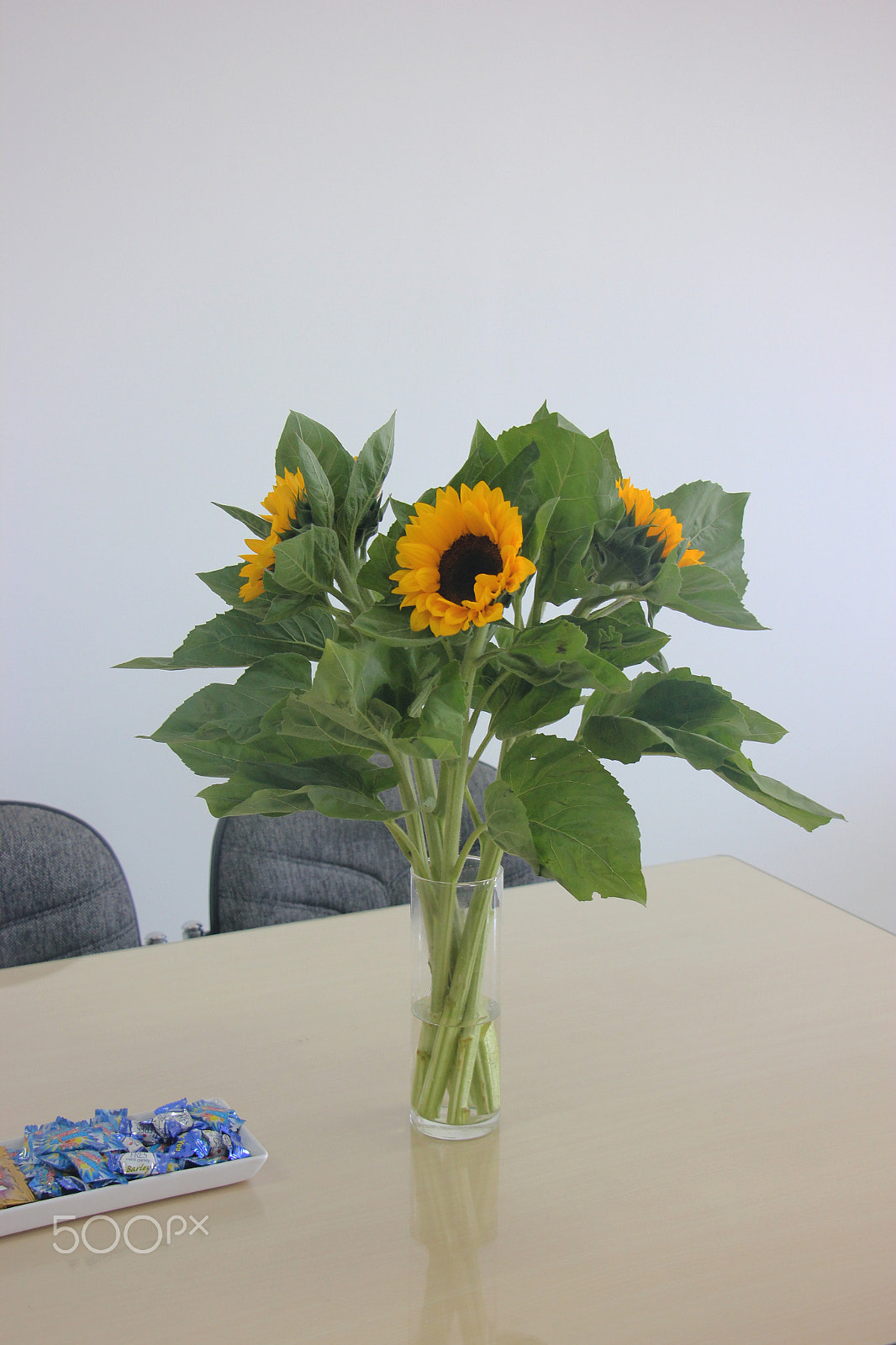 Canon EF-S 18-135mm F3.5-5.6 IS STM sample photo. Bouquet of sunflowers on the table photography