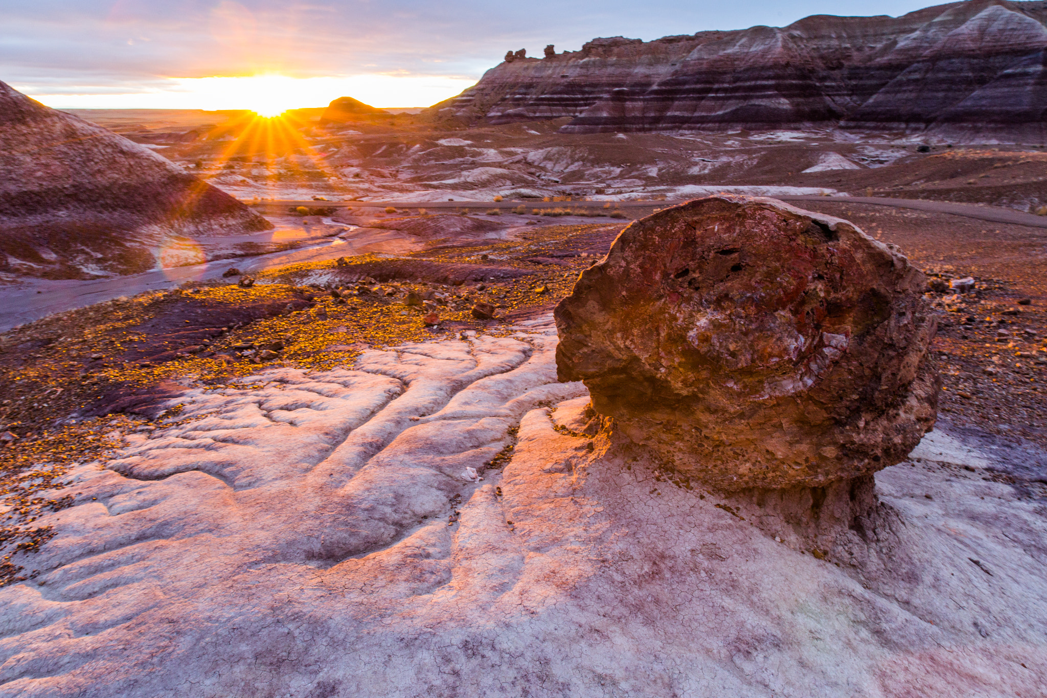 Canon EOS 6D sample photo. Petrified wood sunset photography