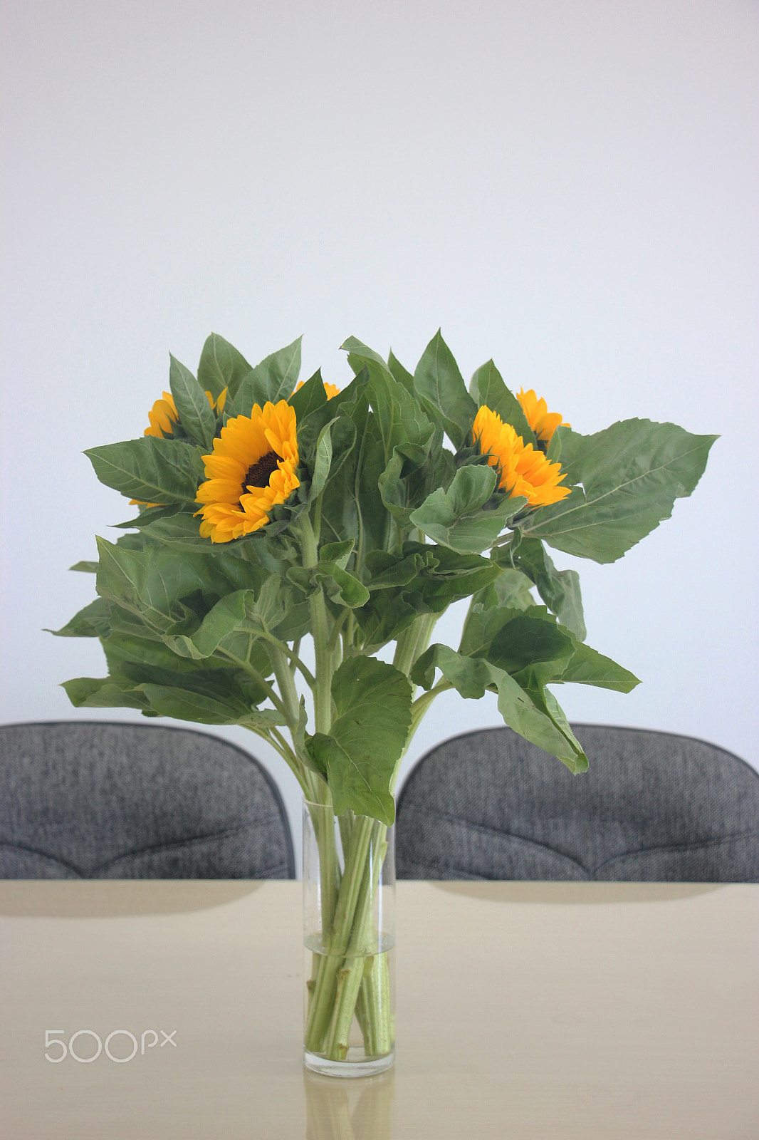 Canon EF-S 18-135mm F3.5-5.6 IS STM sample photo. Bouquet of sunflowers on the table photography