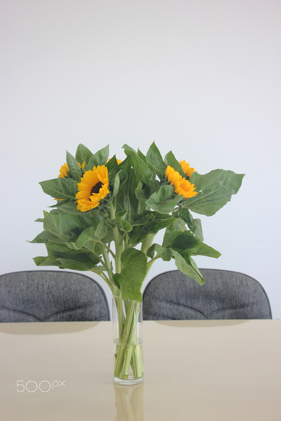Canon EF-S 18-135mm F3.5-5.6 IS STM sample photo. Bouquet of sunflowers on the table photography