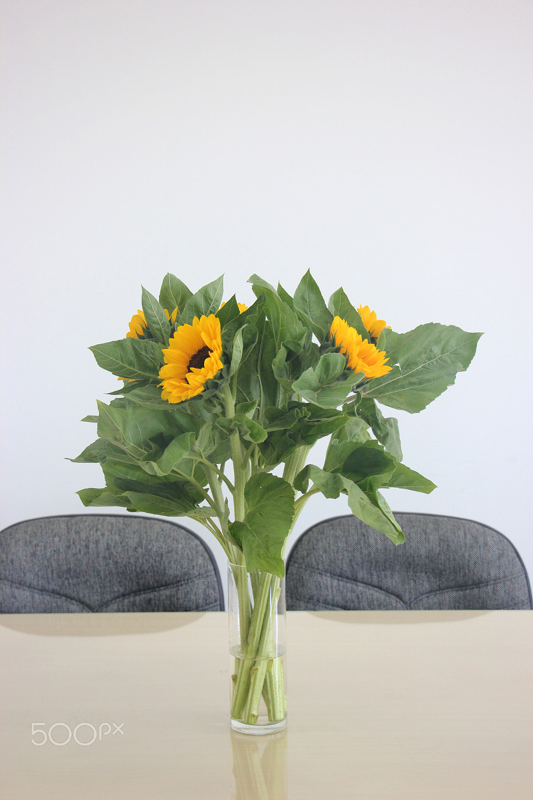 Canon EF-S 18-135mm F3.5-5.6 IS STM sample photo. Bouquet of sunflowers on the table photography