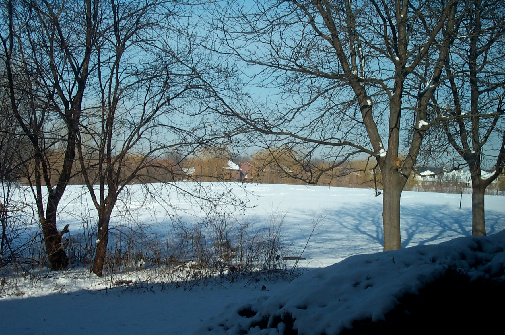 Kodak DC280 ZOOM DIGITAL CAMERA sample photo. Blue shadows in winter photography
