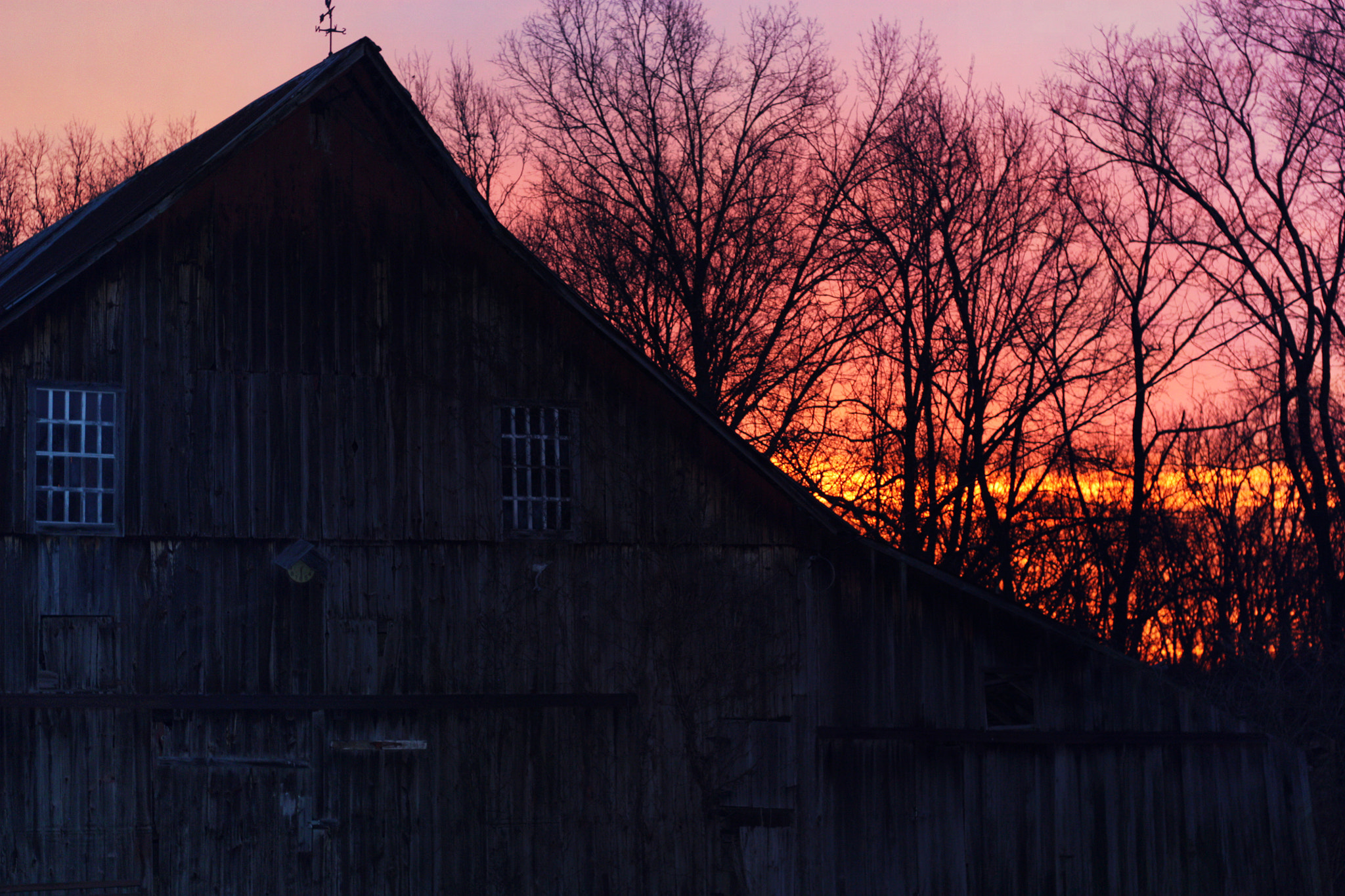 Canon EF 28mm F2.8 sample photo. Country living photography