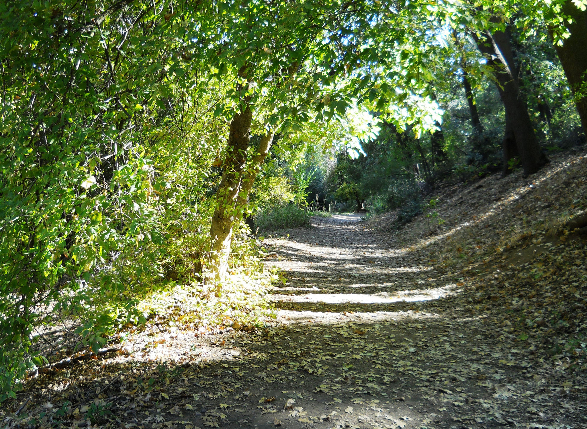 Nikon Coolpix L24 sample photo. Quiet afternoon path photography