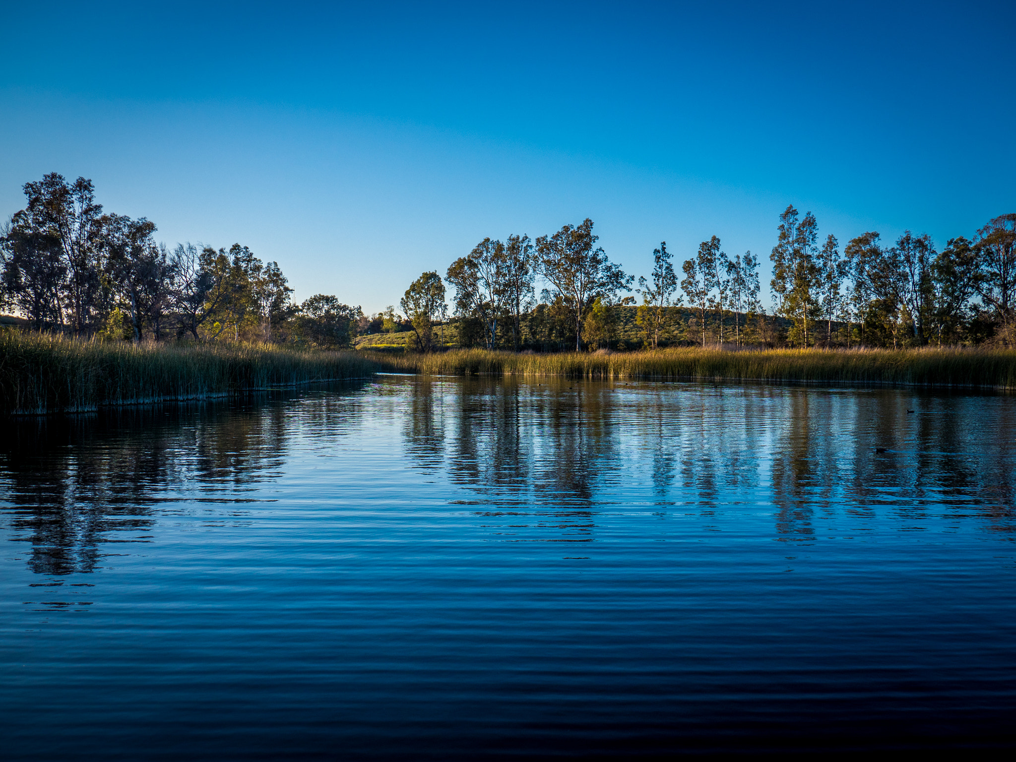 Panasonic Lumix DMC-GH4 sample photo. Lake photography