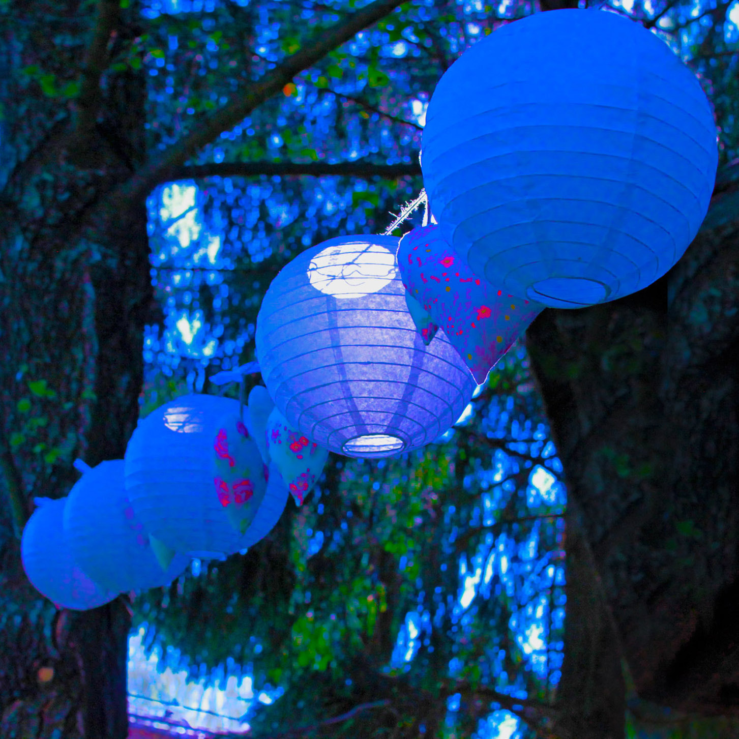 Sigma 30mm F1.4 EX DC HSM sample photo. Japanese latern photography