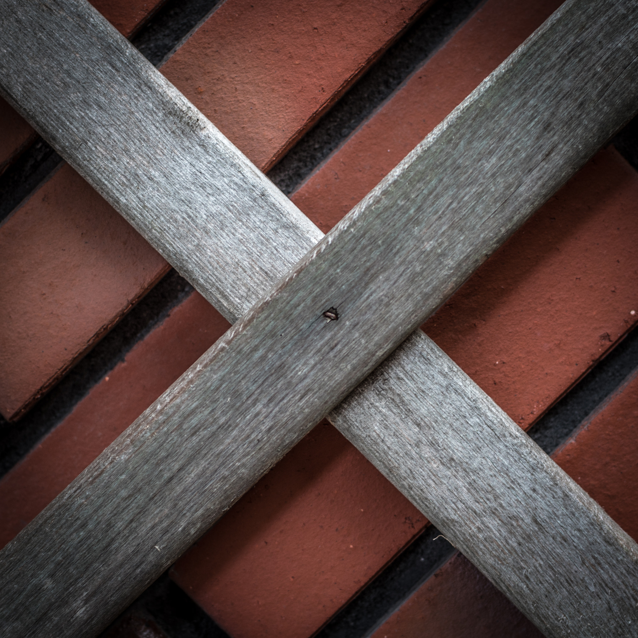 ZEISS Planar T* 50mm F1.4 sample photo. Cross photography
